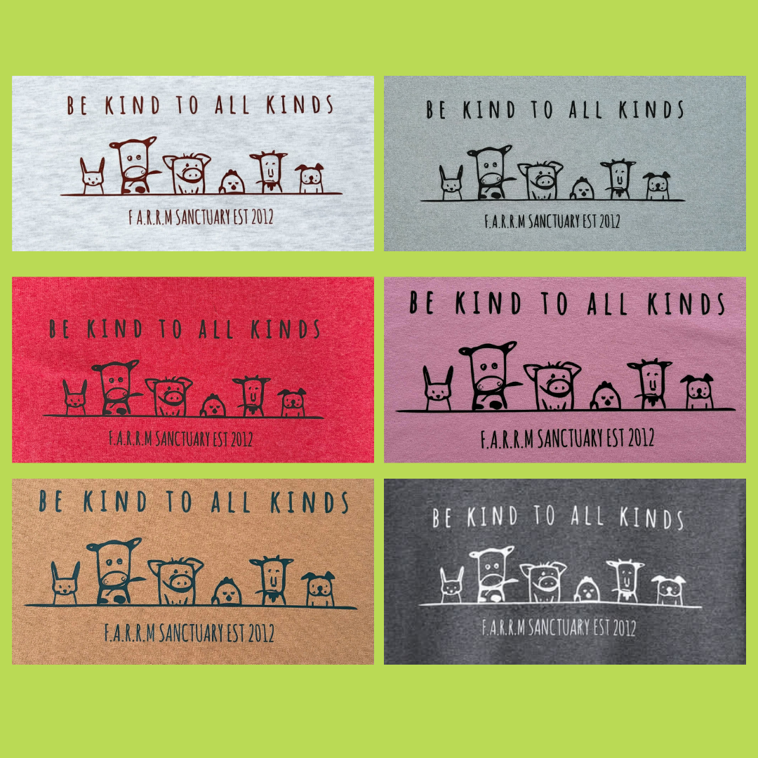 26tshirtCloseup.png