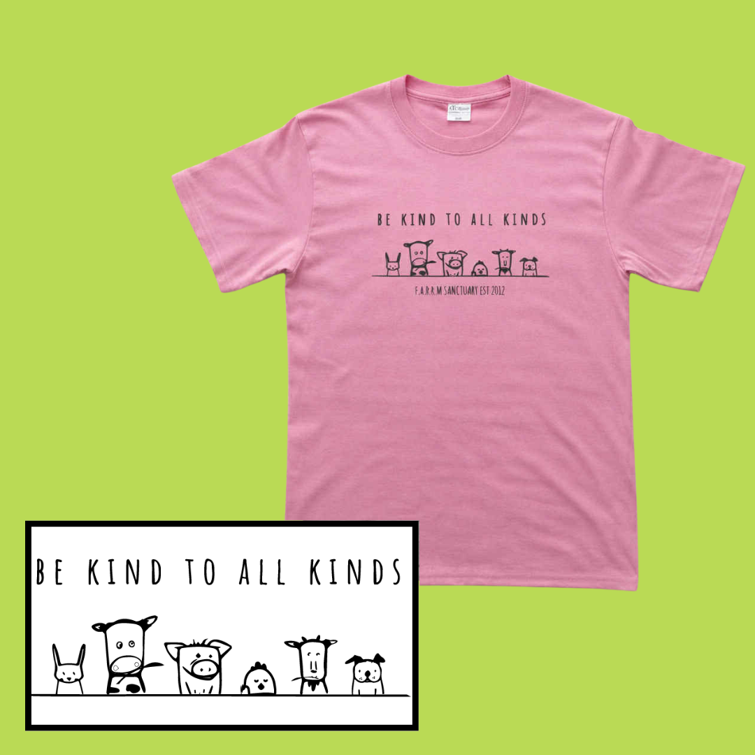 26TshirtPink.png