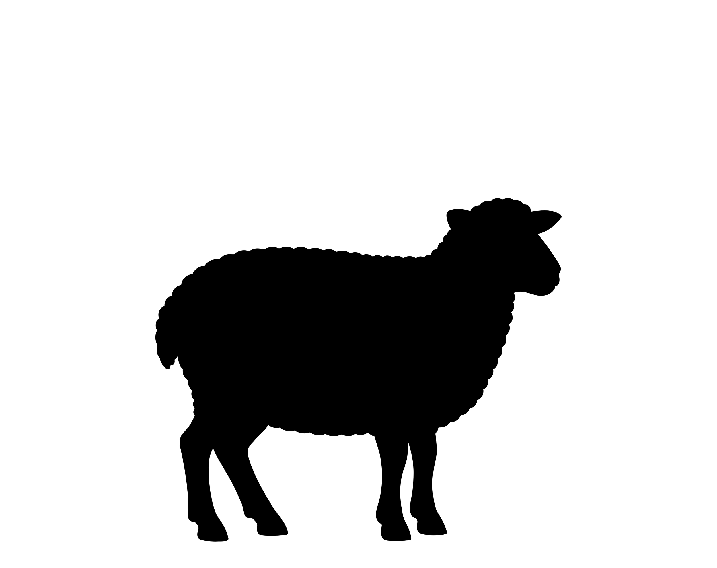 Sponsor Sheep ($30/month)