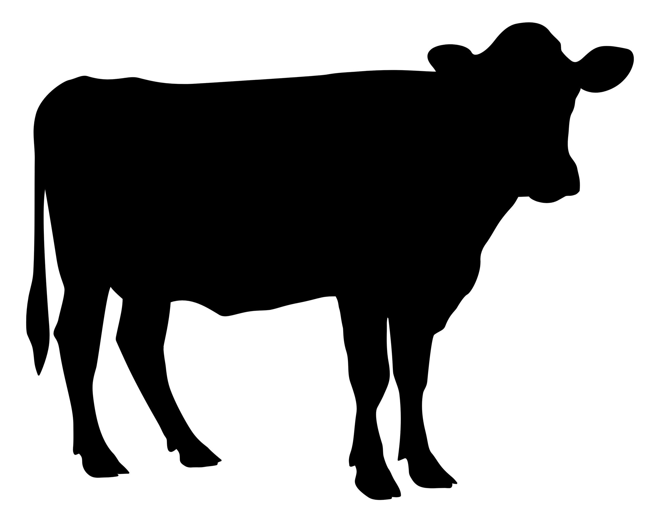 Sponsor Cows ($75/month)