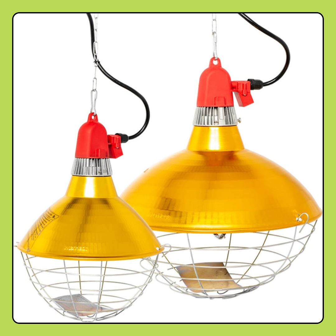 Heat Lamp Donation