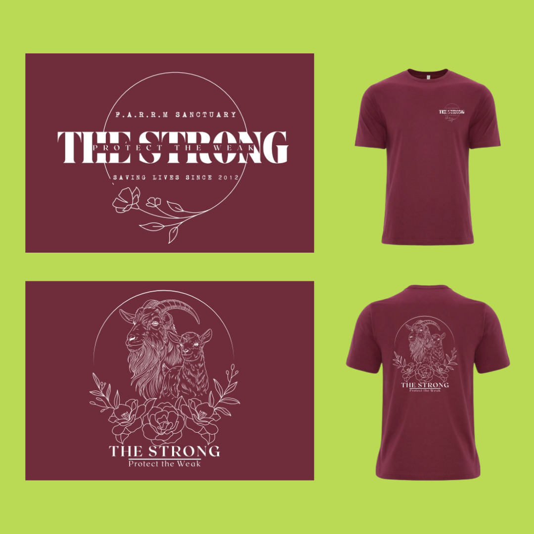 unisex shirt, fem goat, cardinal heather.png