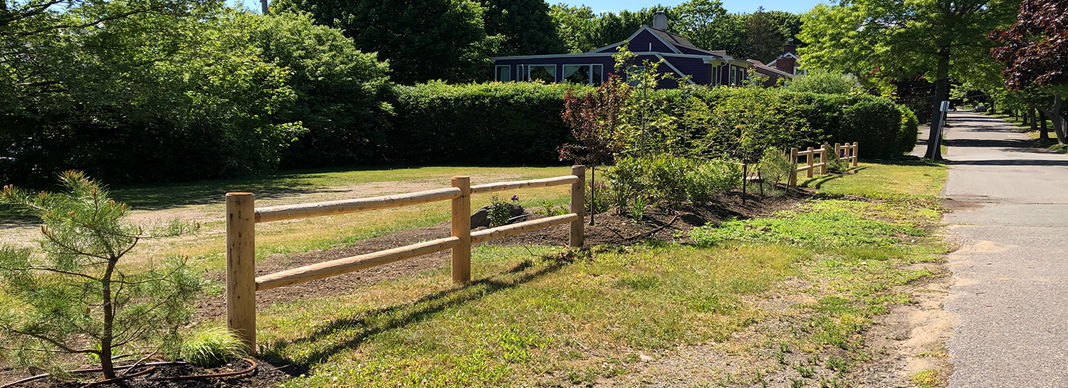 CIA Brief | 2022 Winter