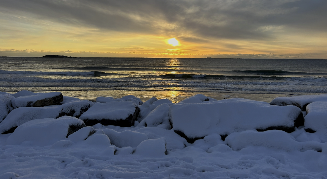 CIA Brief | 2025 Winter