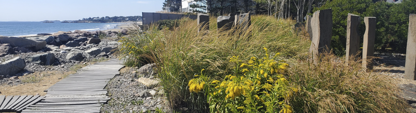 CIA Brief | 2025 Fall