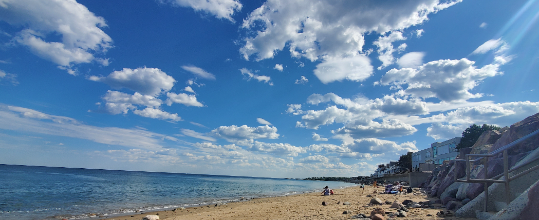 CIA Brief | 2024 Summer