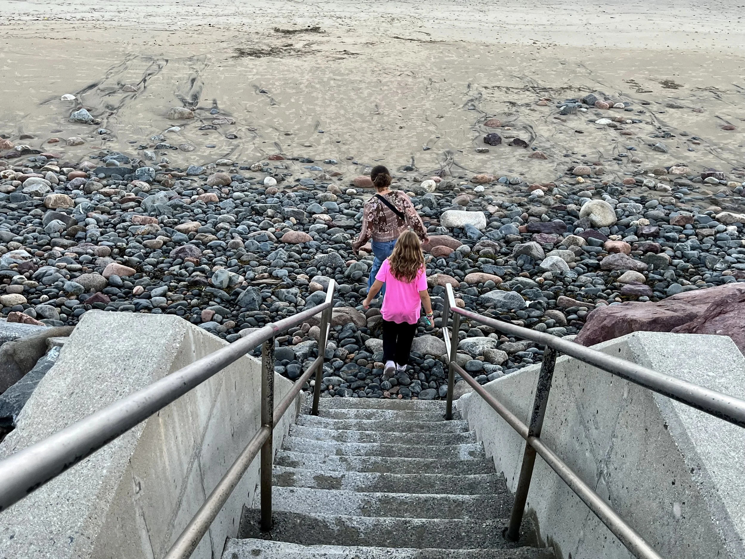 CIA Brief | 2023 Fall