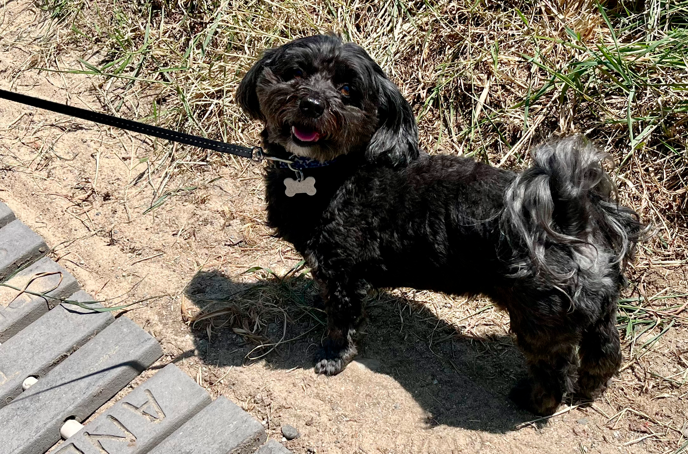 Memorial Day Welcome