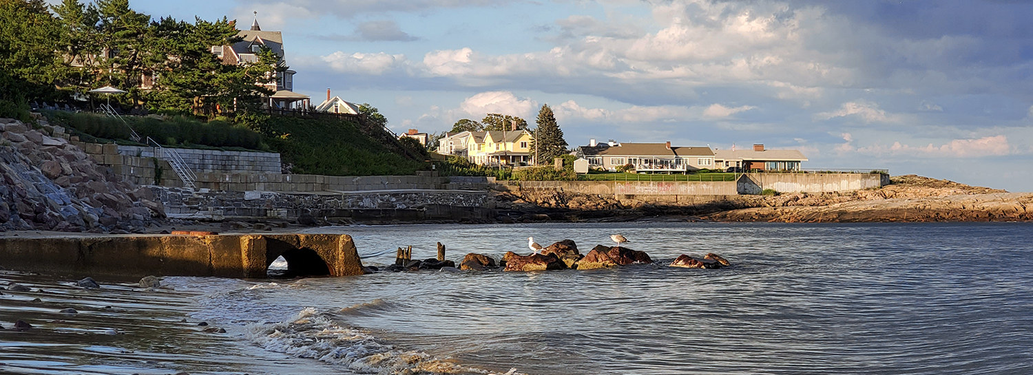 CIA Brief | 2021 Fall