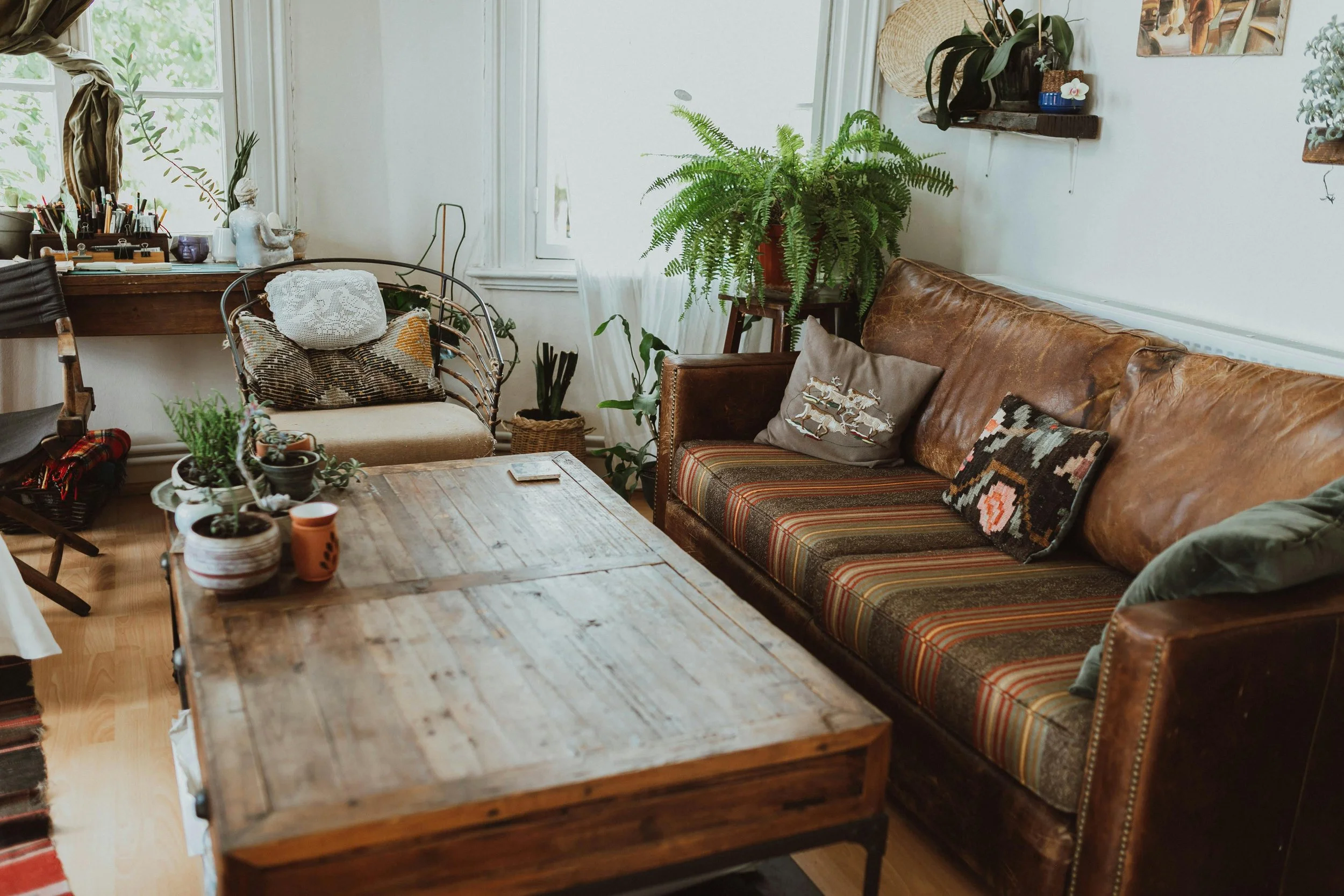 A bright and minimal room with plants and shelving, representing the welcoming environment of identity therapy at Viridian Counseling in Connecticut