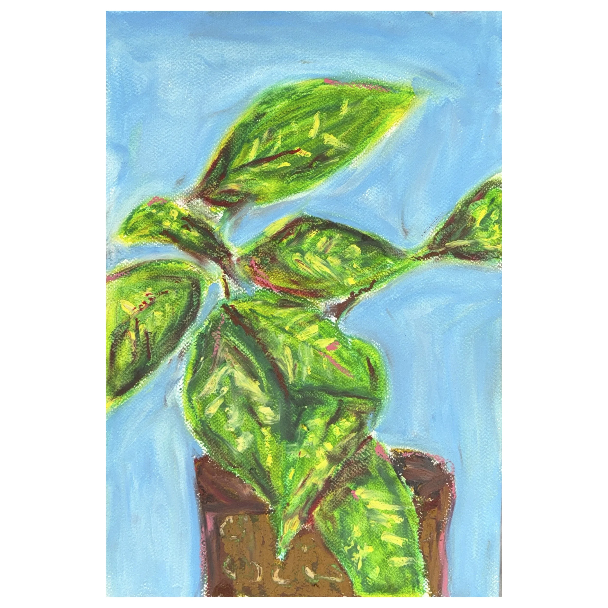 Still Life #1 - Print