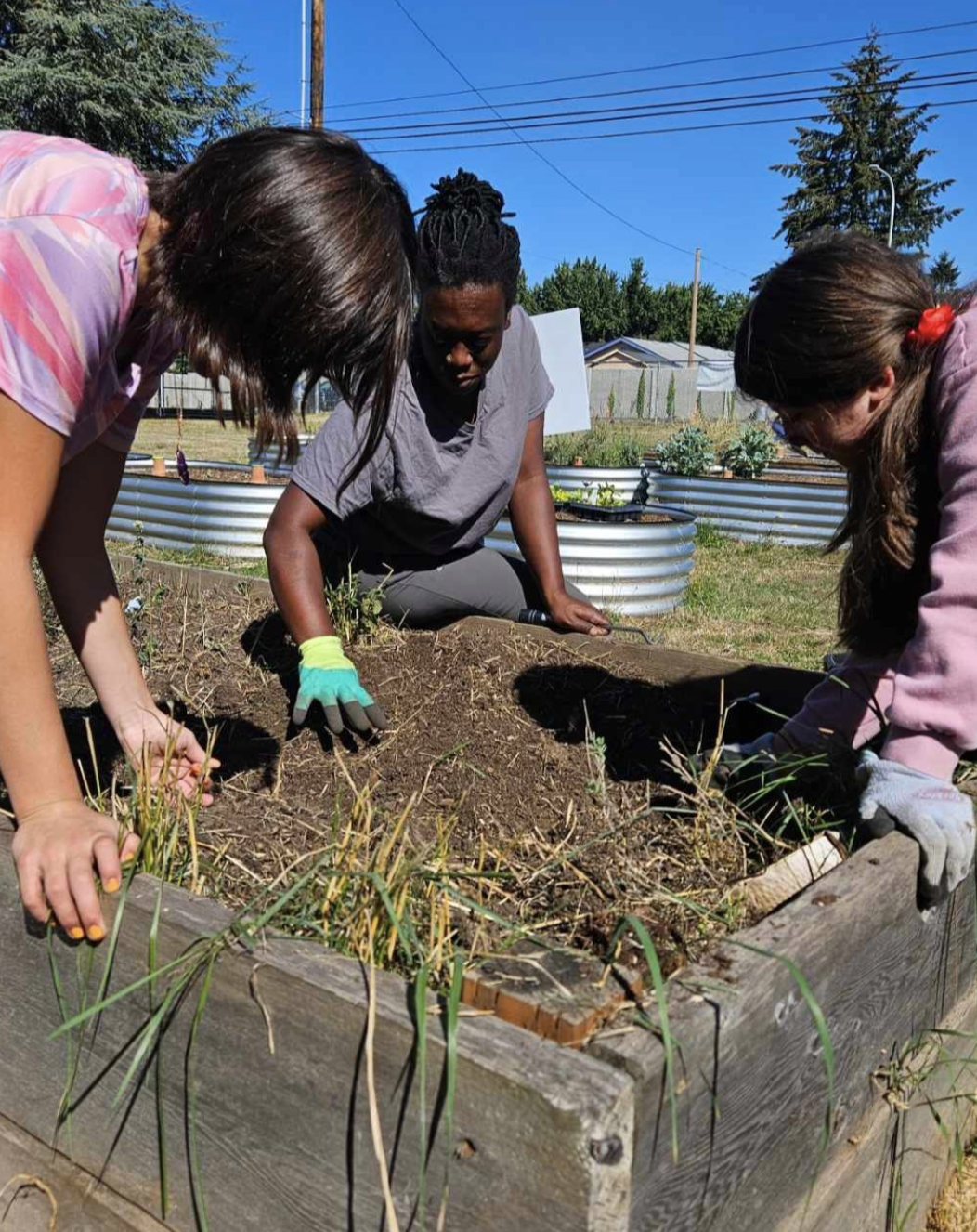 Partnership spotlight on Keep Growing Dreams