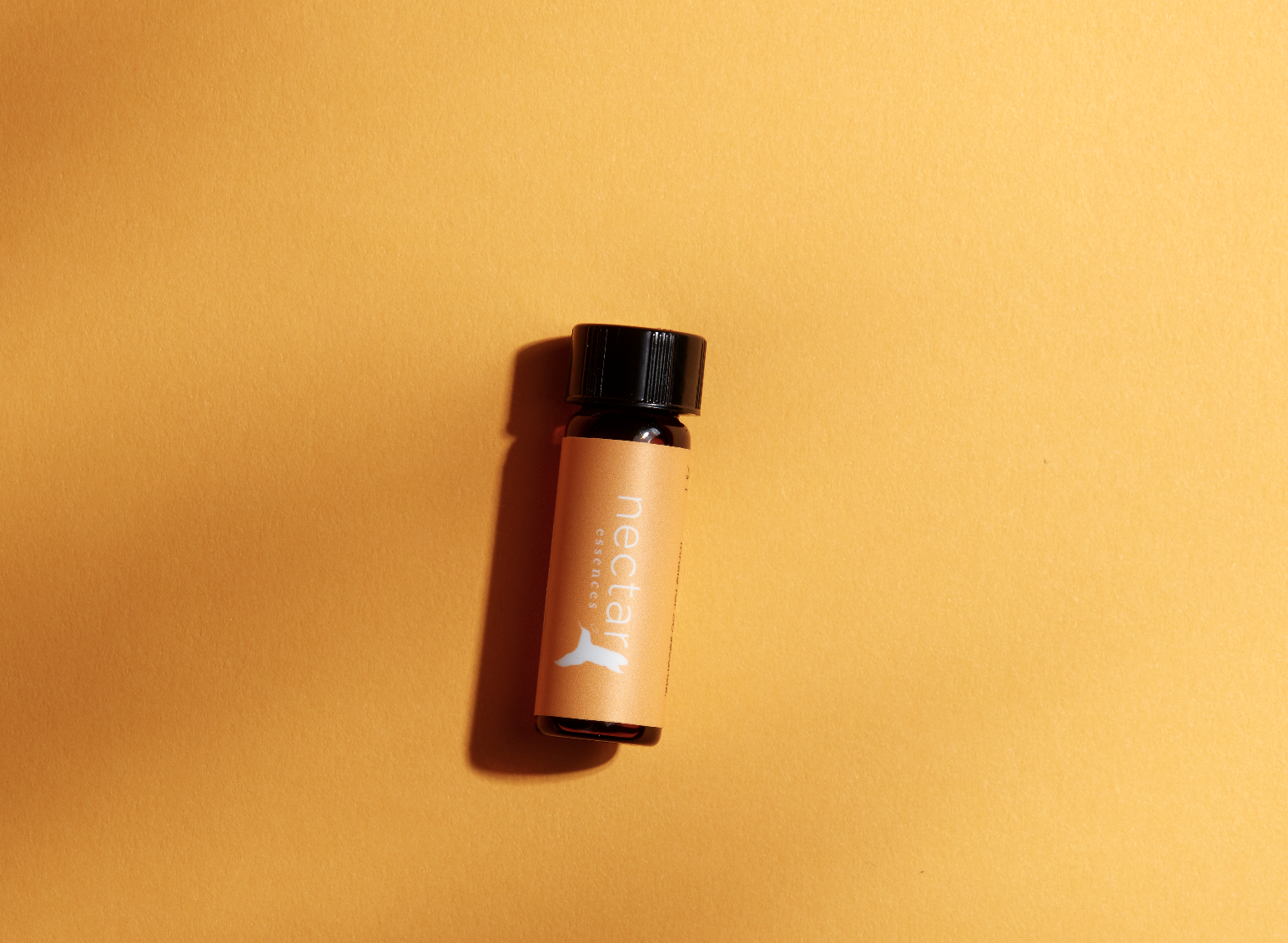 Screen Shot 2022-12-31 at 12.44.33 PM.png