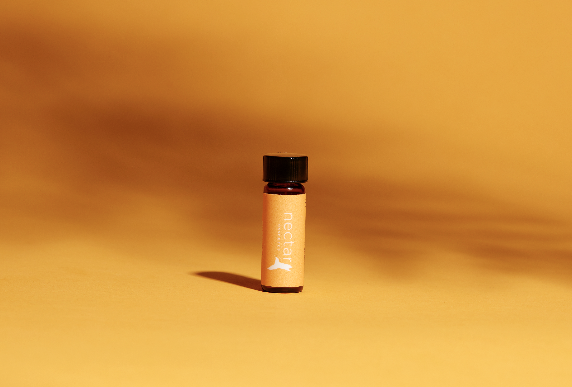 Screen Shot 2022-12-31 at 12.45.03 PM.png