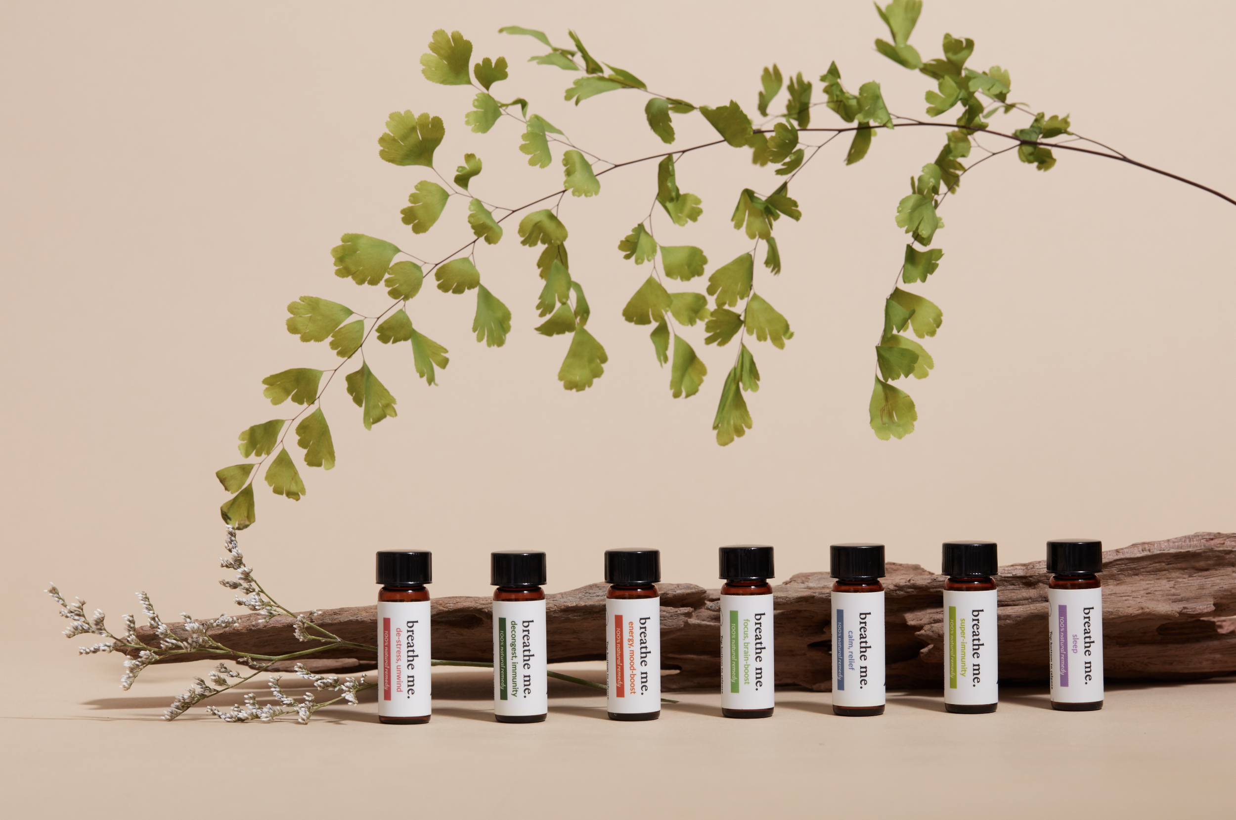 Screen Shot 2022-12-31 at 12.53.48 PM.png