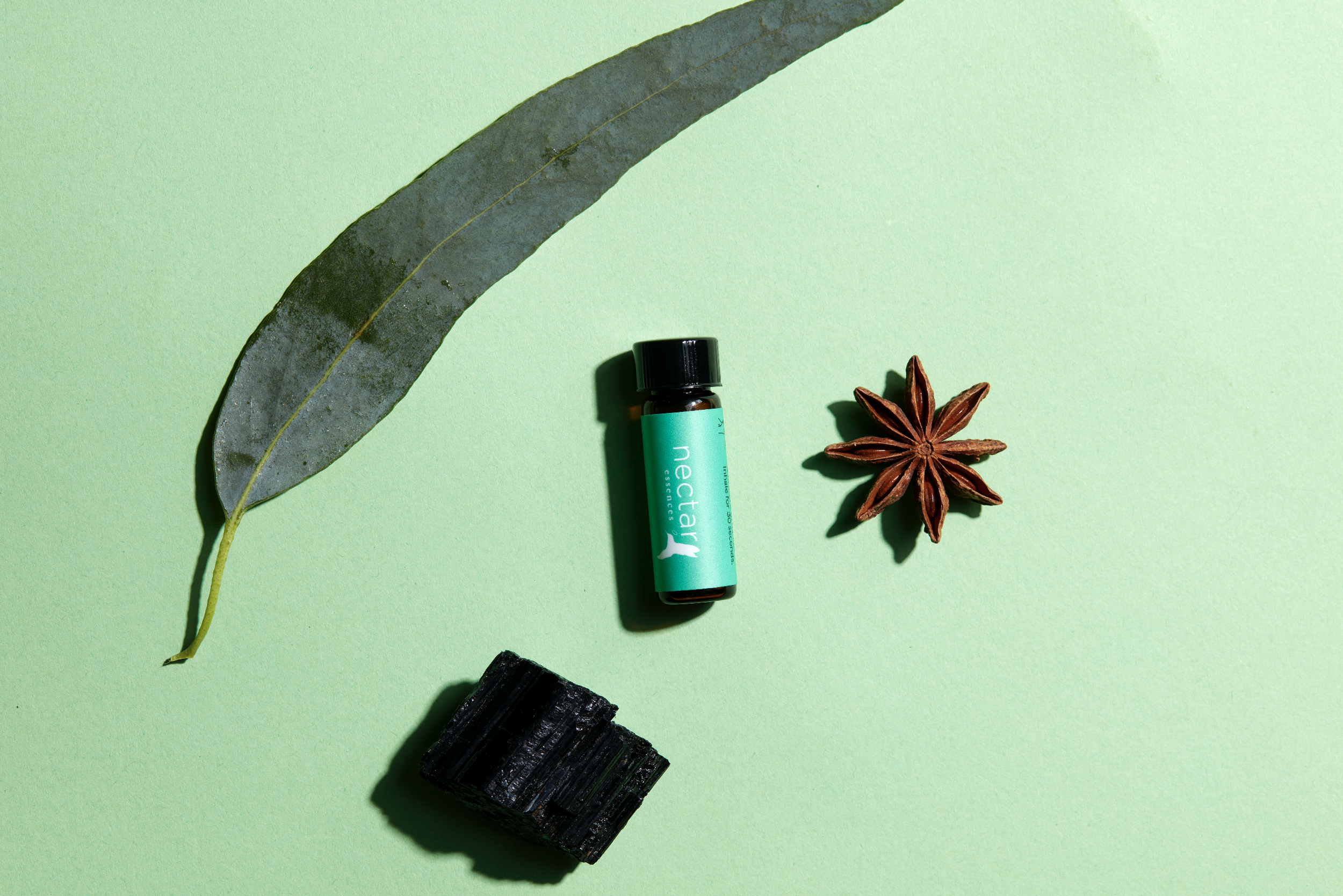 Screen Shot 2022-12-31 at 12.40.11 PM.png