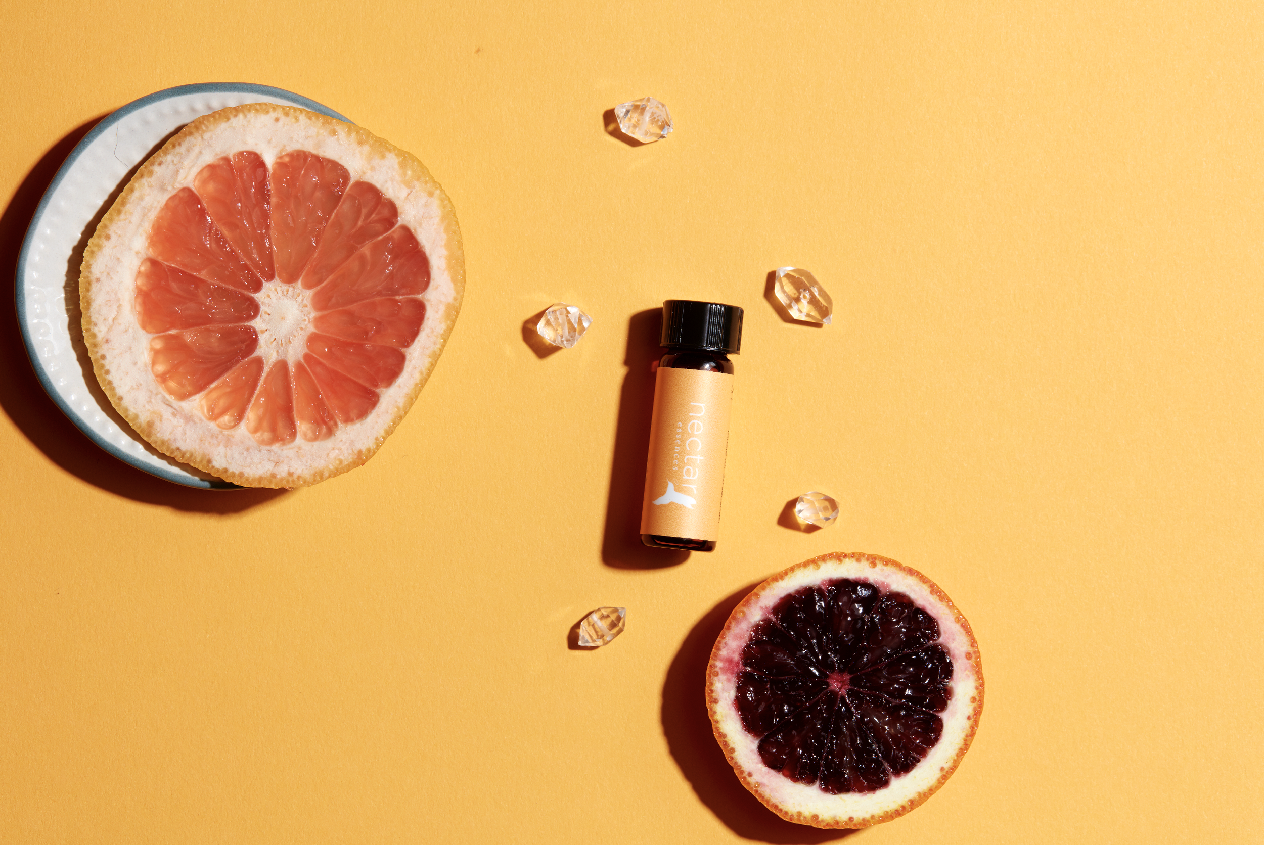 Screen Shot 2022-12-31 at 12.44.41 PM.png