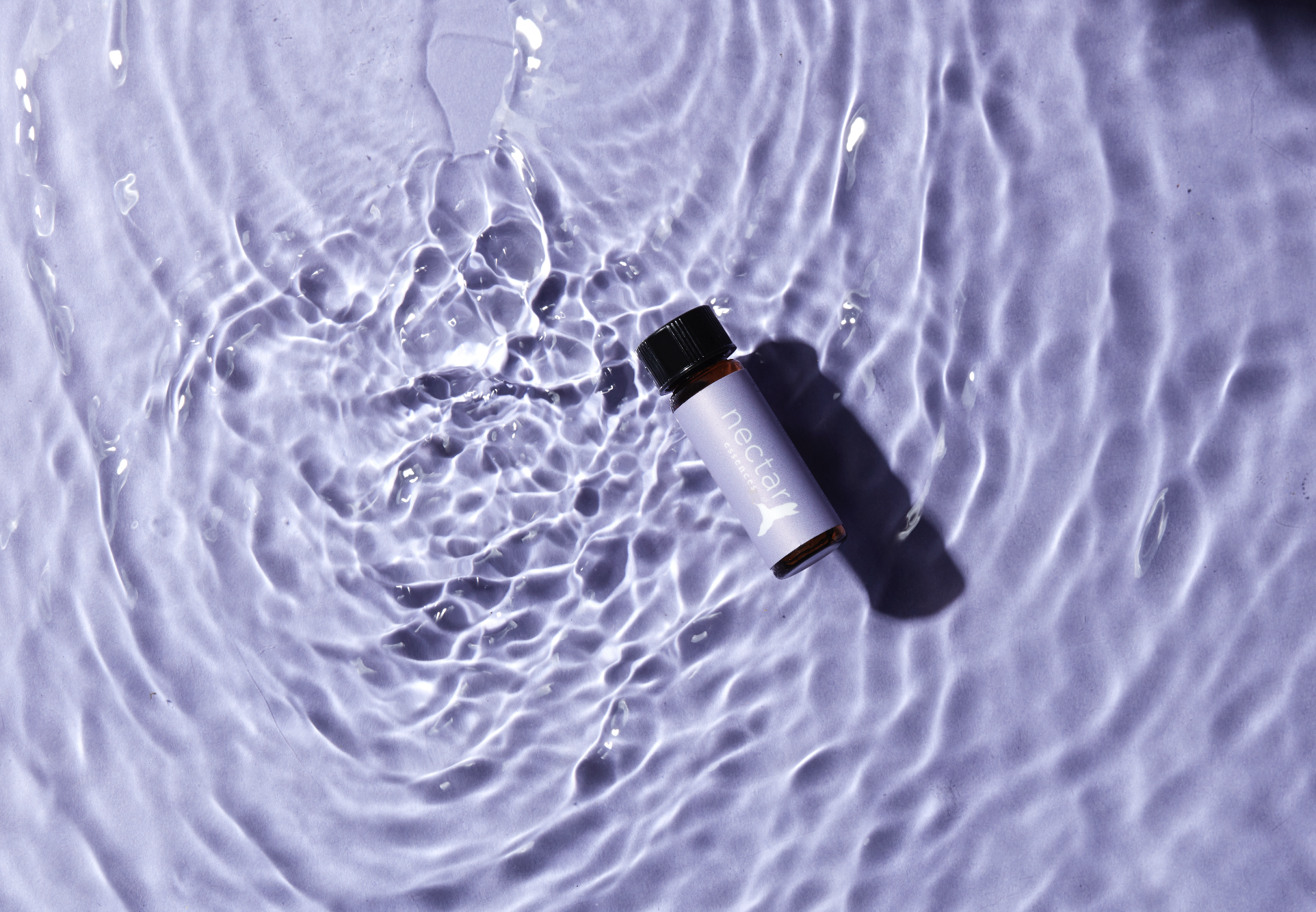 Screen Shot 2022-12-31 at 12.52.21 PM.png