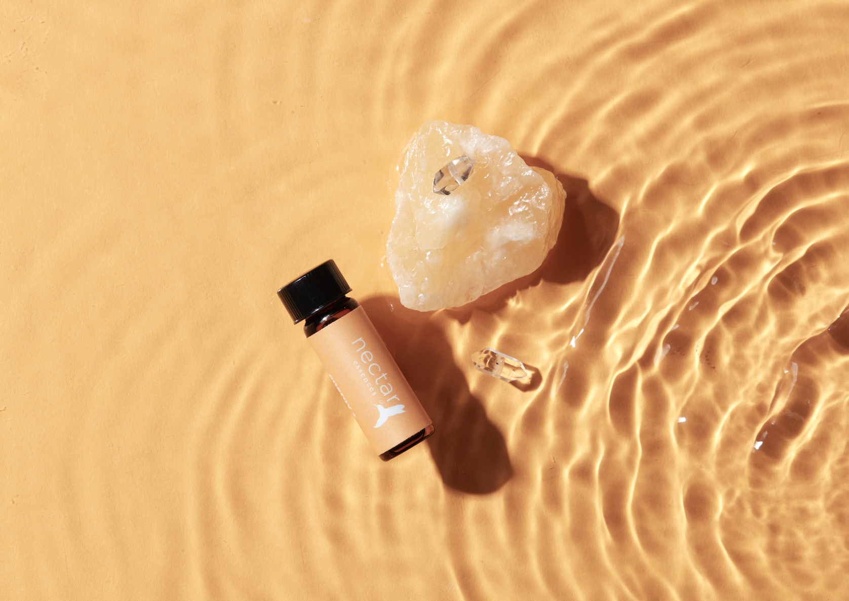 Screen Shot 2022-12-31 at 12.50.56 PM.png