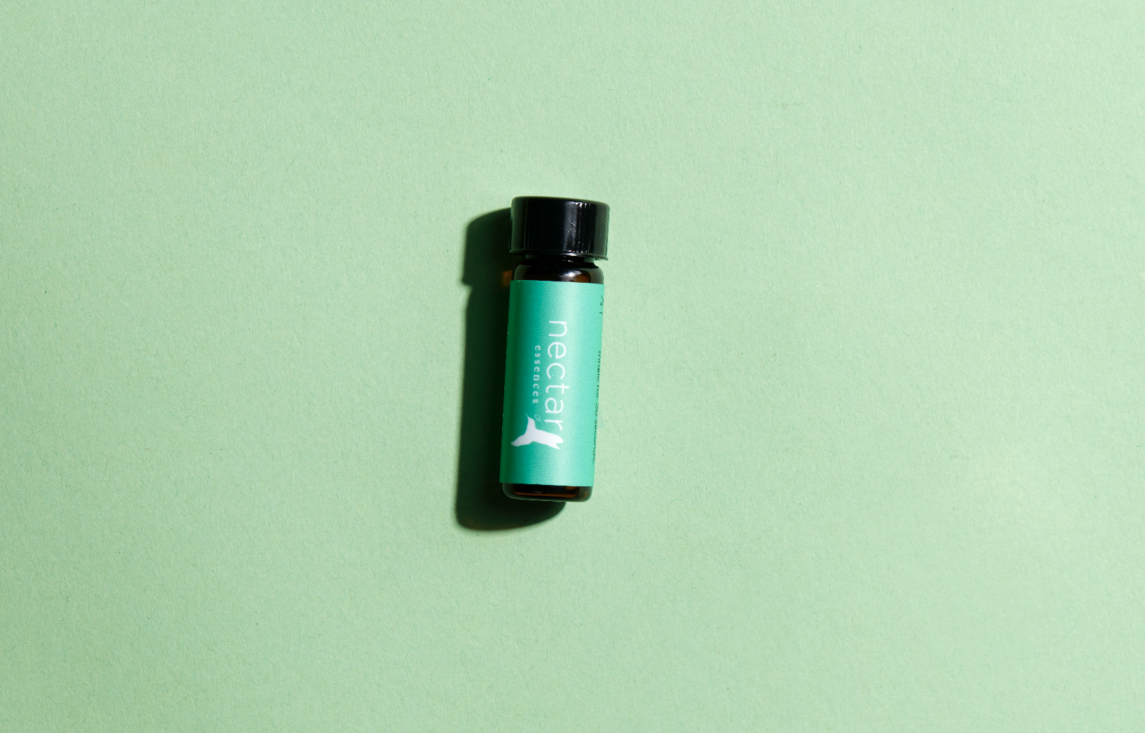 Screen Shot 2022-12-31 at 12.40.19 PM.png