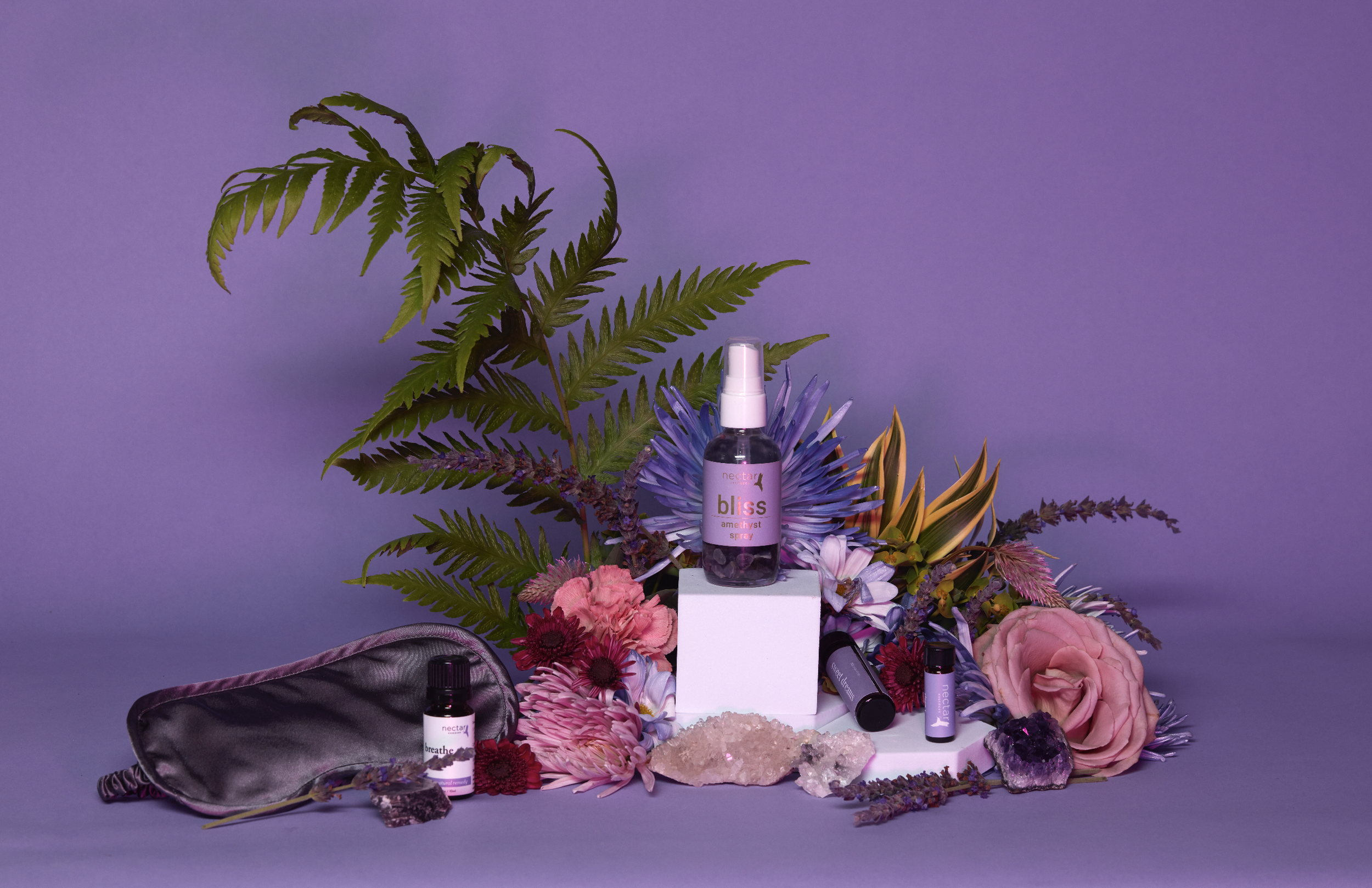 Screen Shot 2022-12-31 at 12.41.49 PM.png