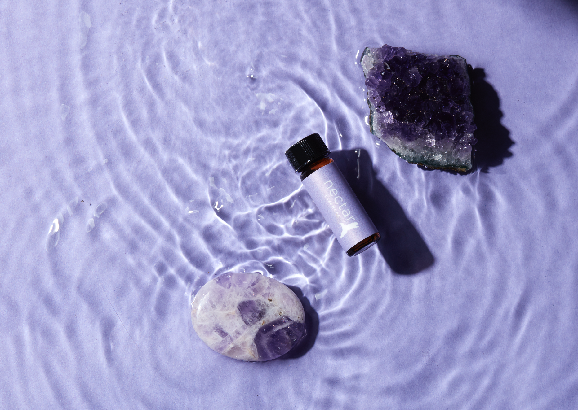 Screen Shot 2022-12-31 at 12.52.32 PM.png