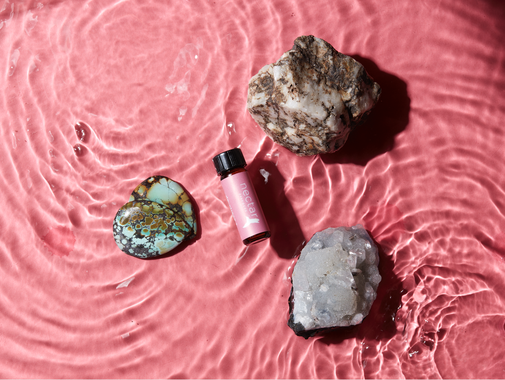 Screen Shot 2022-12-31 at 12.52.04 PM.png