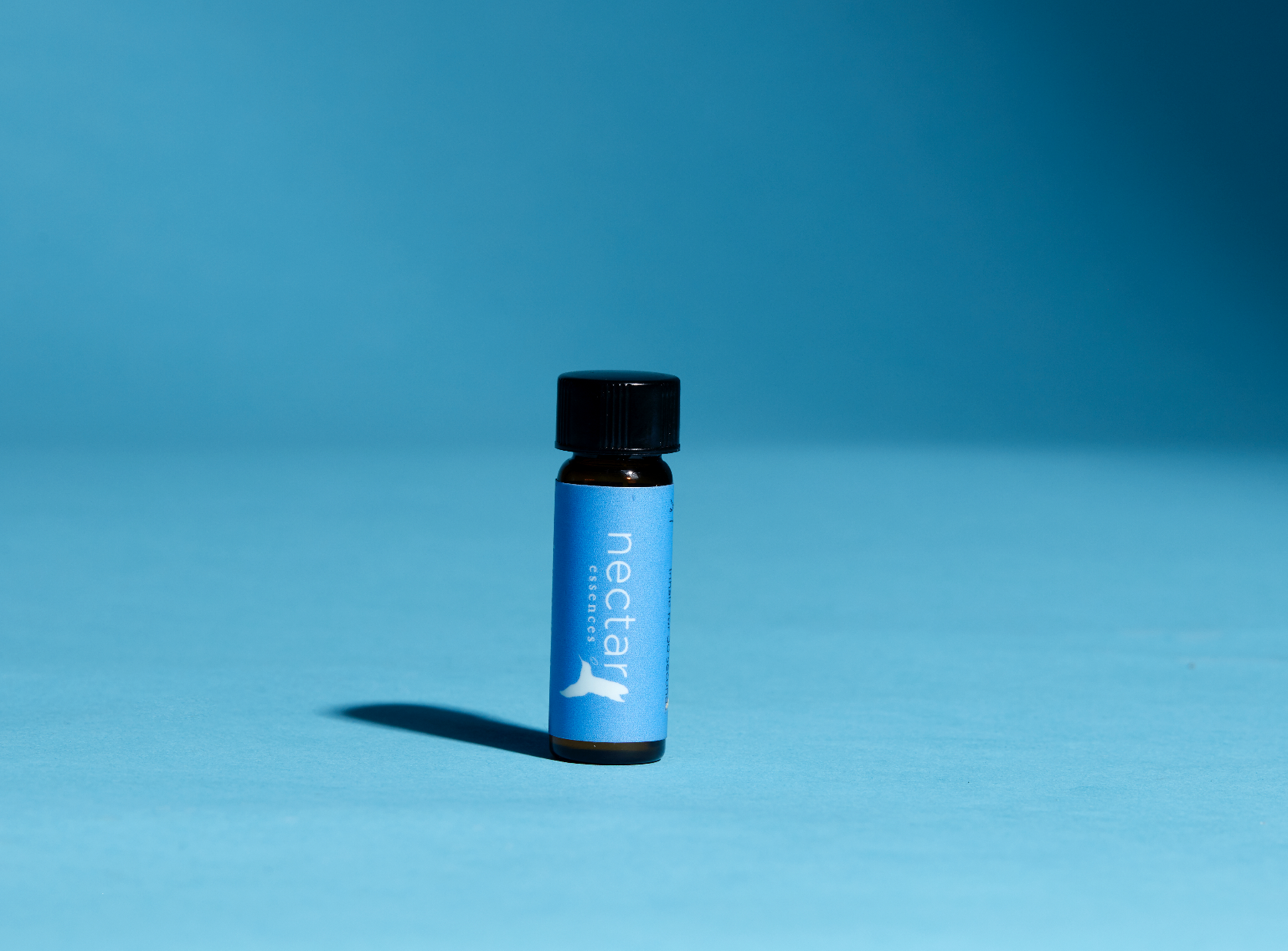 Screen Shot 2022-12-31 at 12.45.27 PM.png