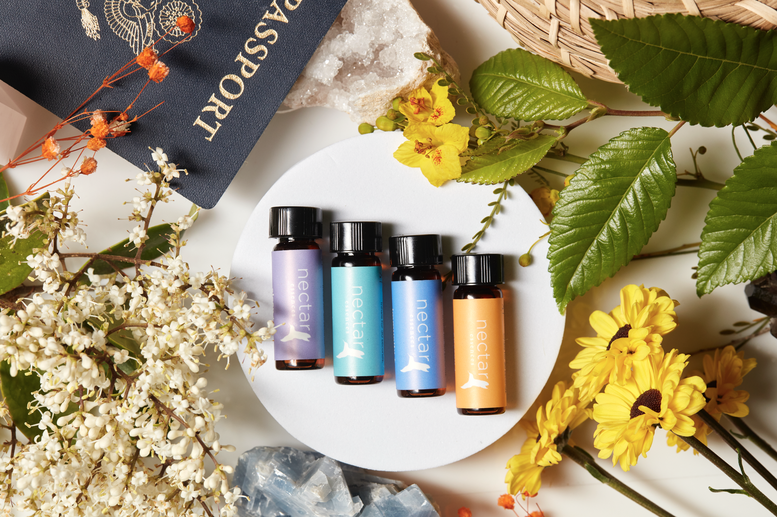 Screen Shot 2022-12-31 at 12.36.45 PM.png