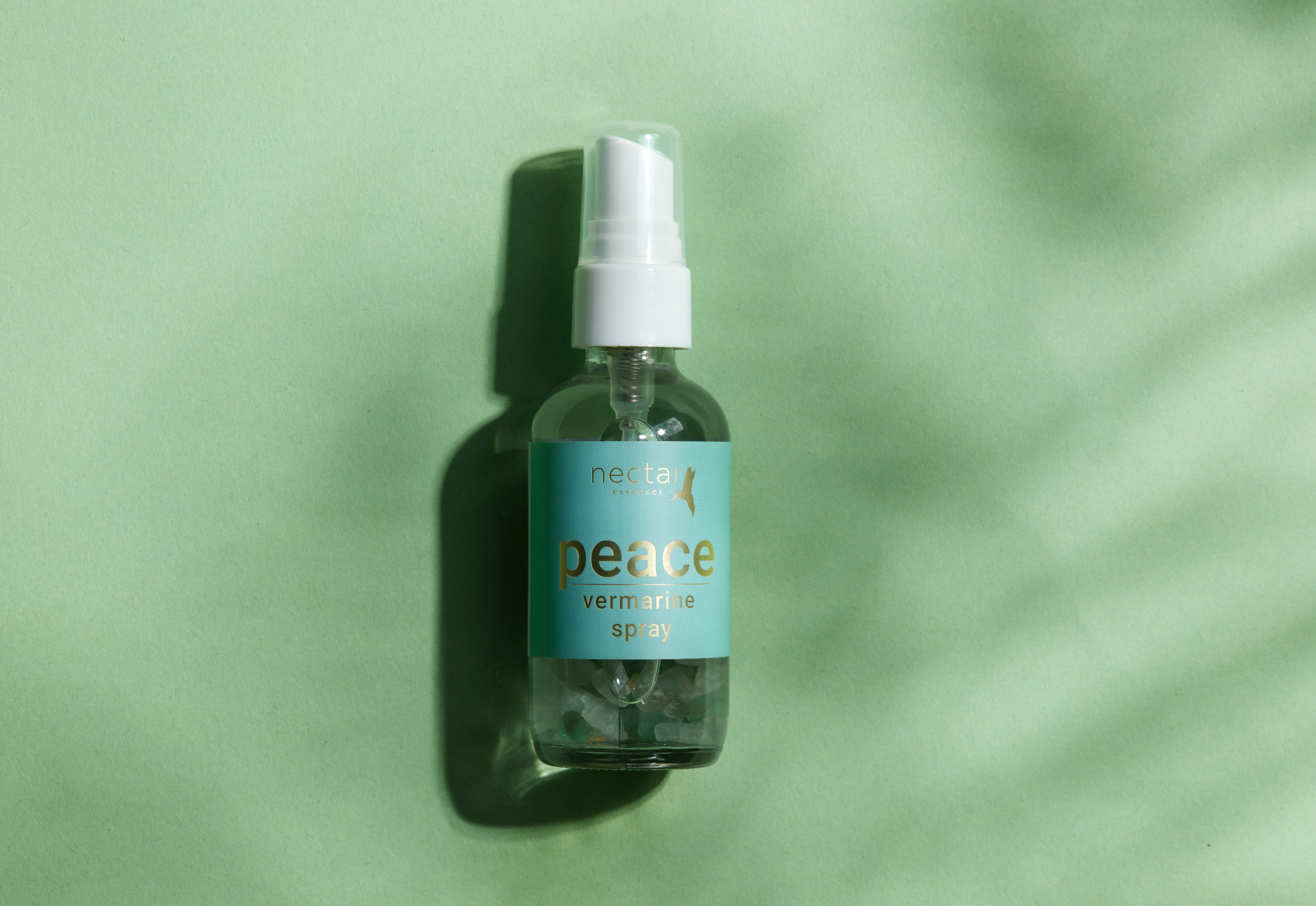 Screen Shot 2022-12-31 at 12.47.12 PM.png