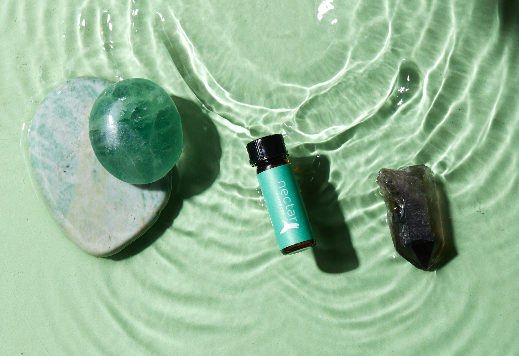 Screen Shot 2022-12-31 at 12.53.14 PM.png