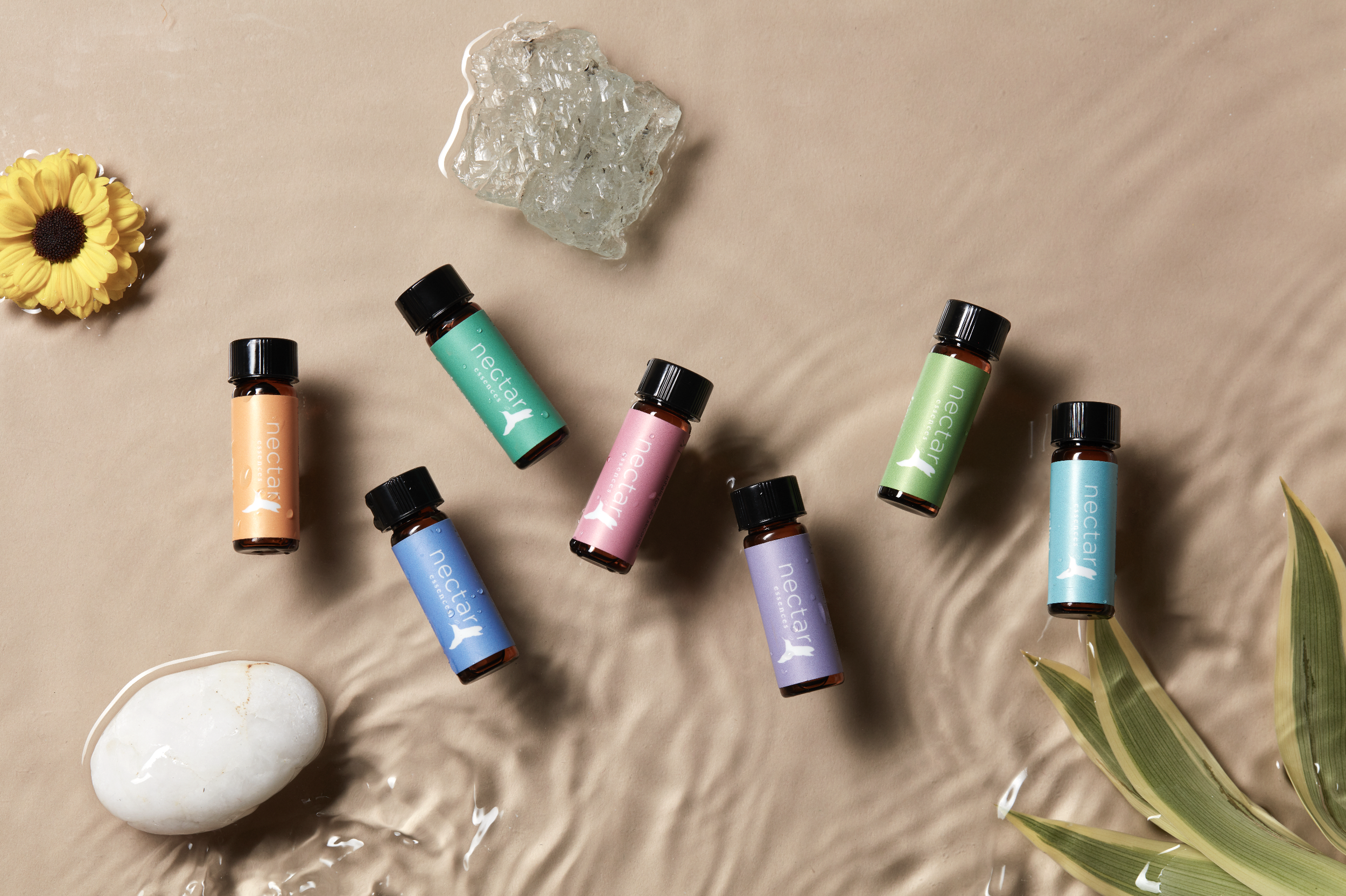 Screen Shot 2022-12-31 at 12.50.47 PM.png