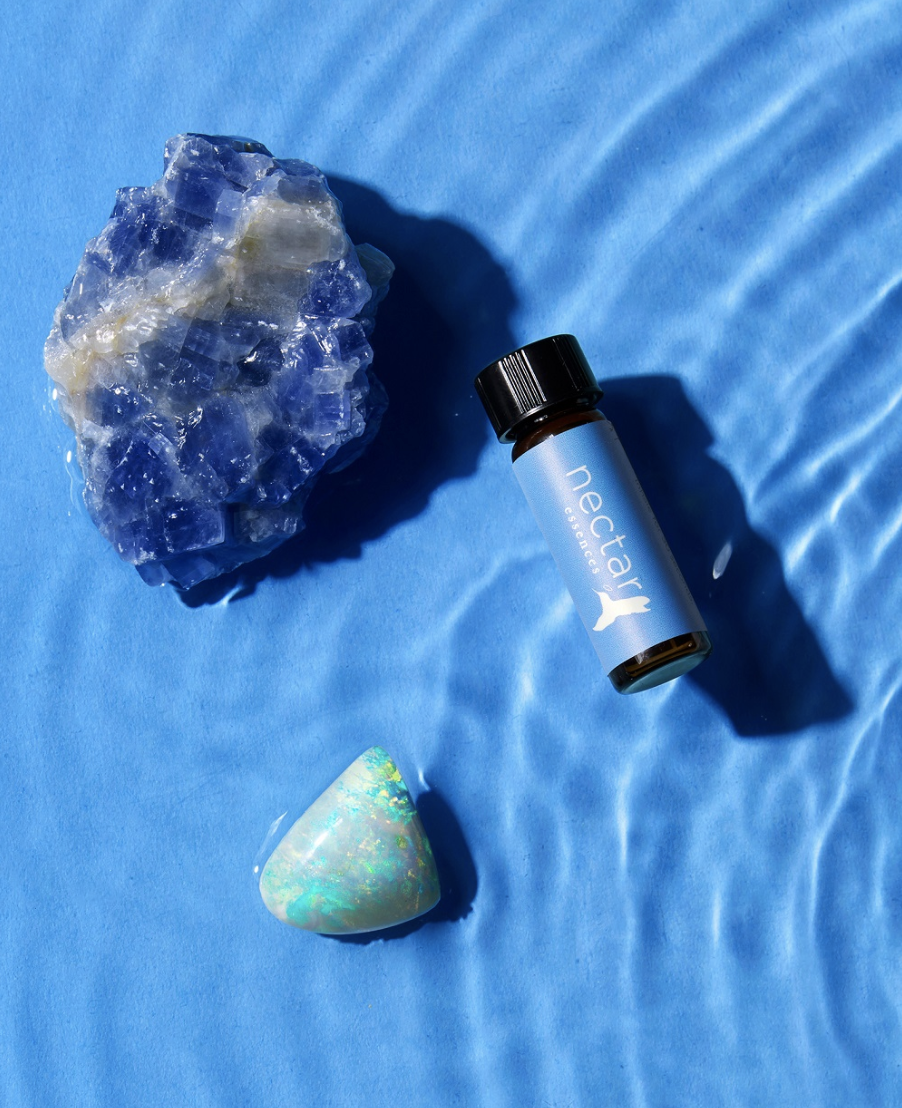 Screen Shot 2022-12-28 at 11.11.57 AM.png