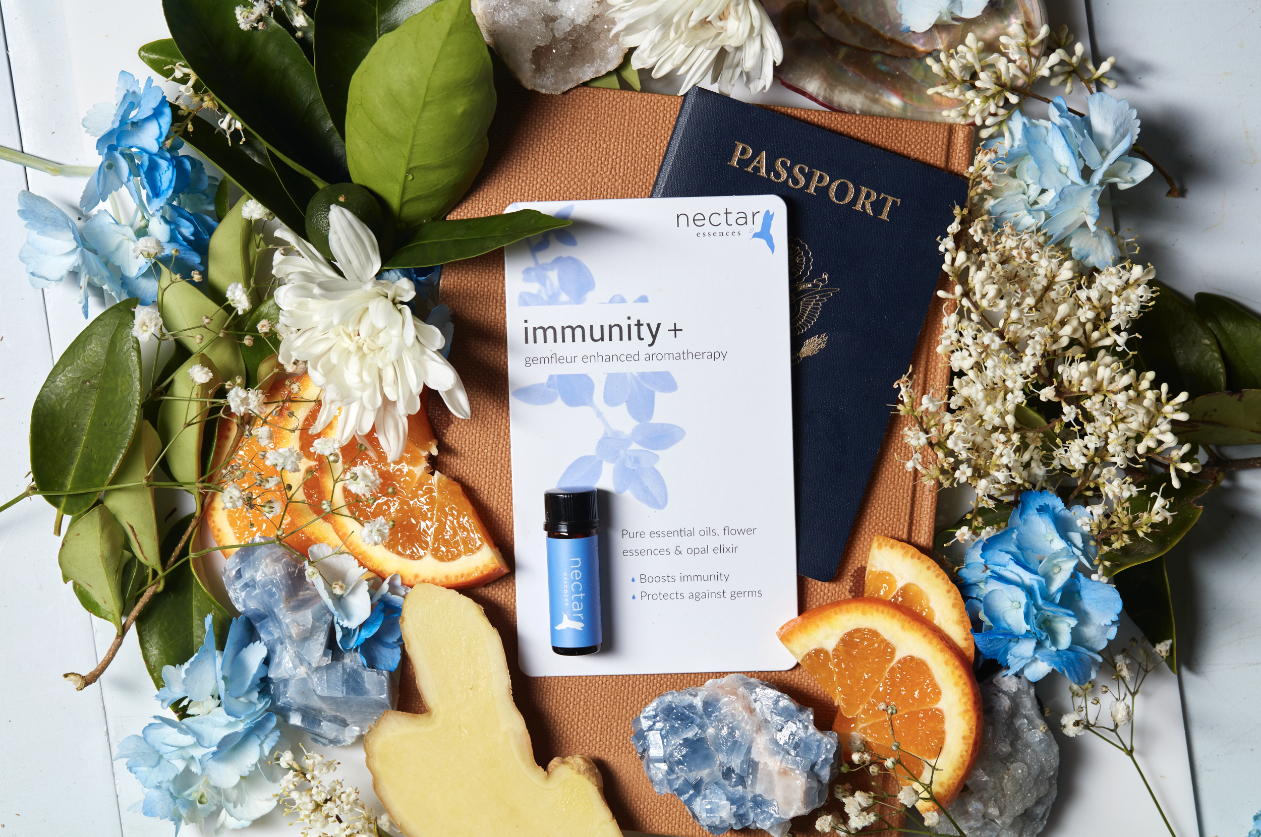 Screen Shot 2022-12-31 at 12.37.50 PM.png