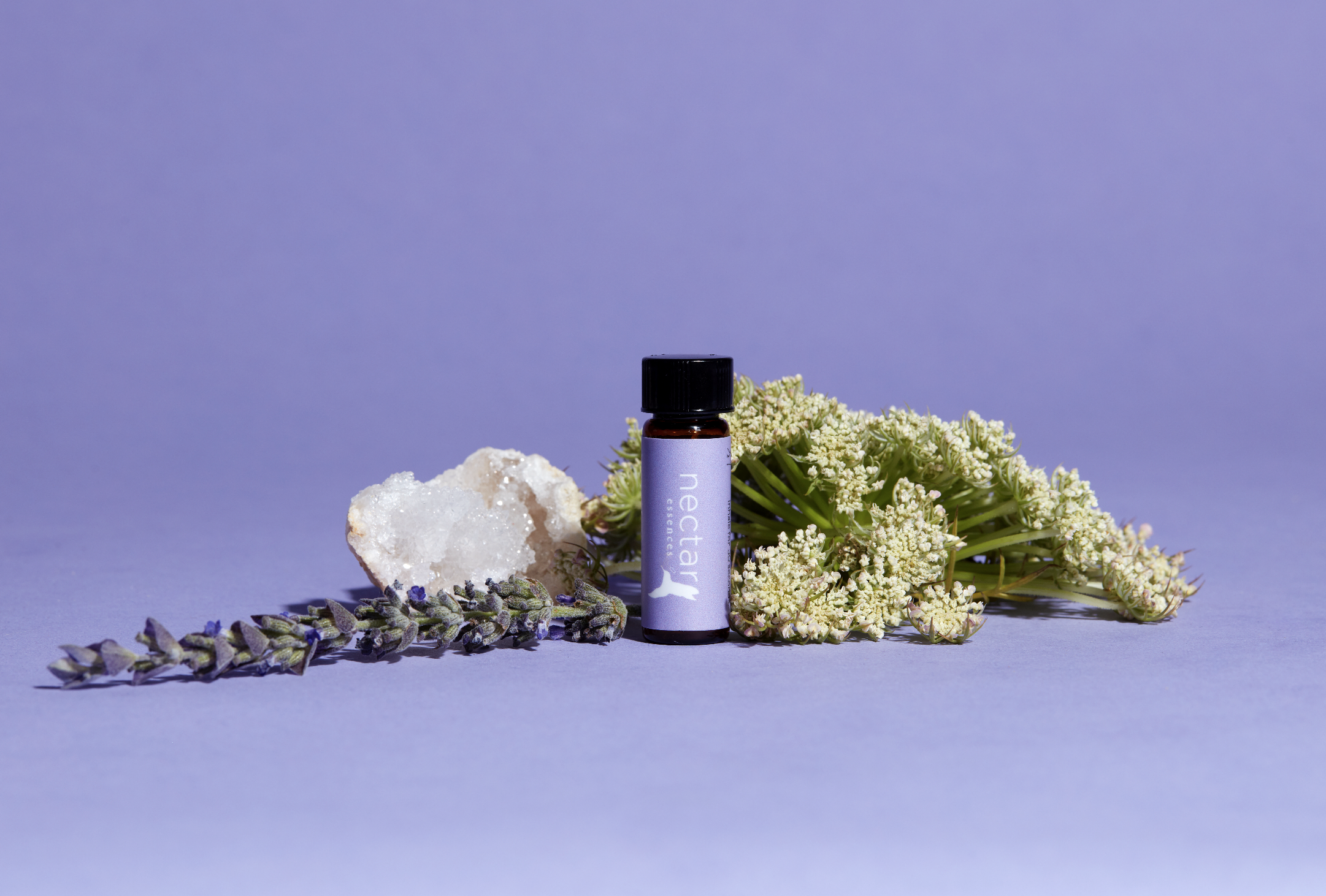 Screen Shot 2022-12-31 at 12.48.12 PM.png