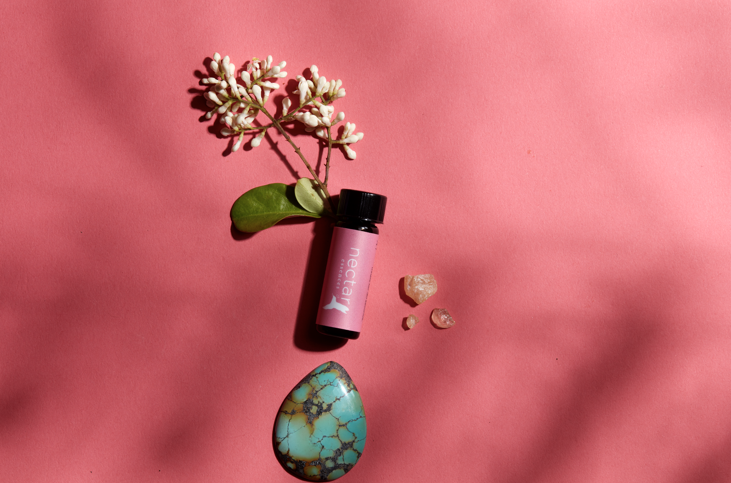 Screen Shot 2022-12-31 at 12.42.22 PM.png