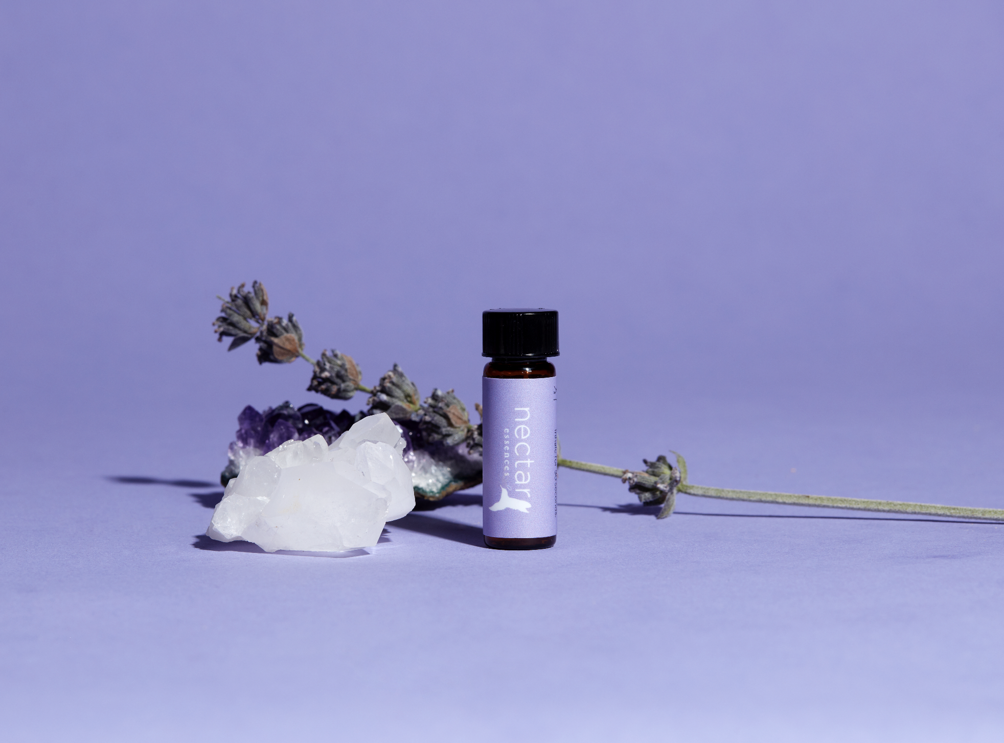 Screen Shot 2022-12-31 at 12.48.22 PM.png