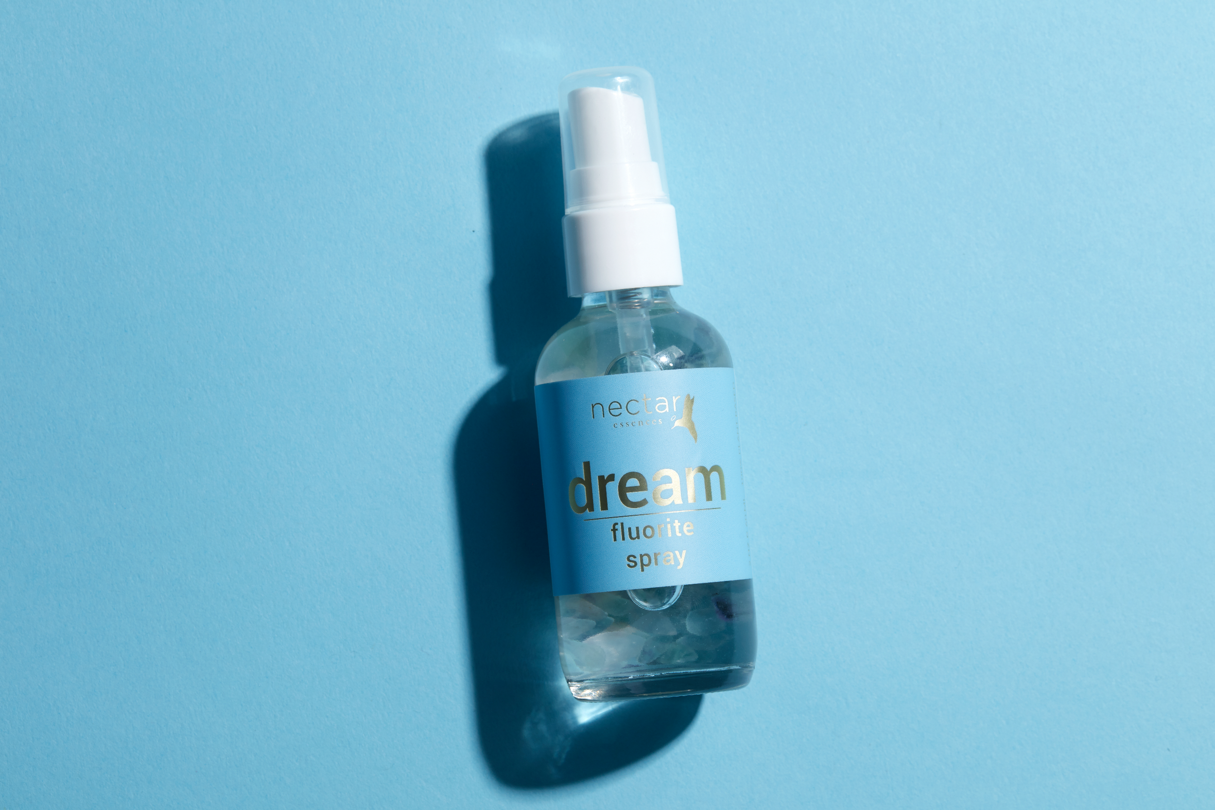 Screen Shot 2022-12-31 at 12.42.43 PM.png