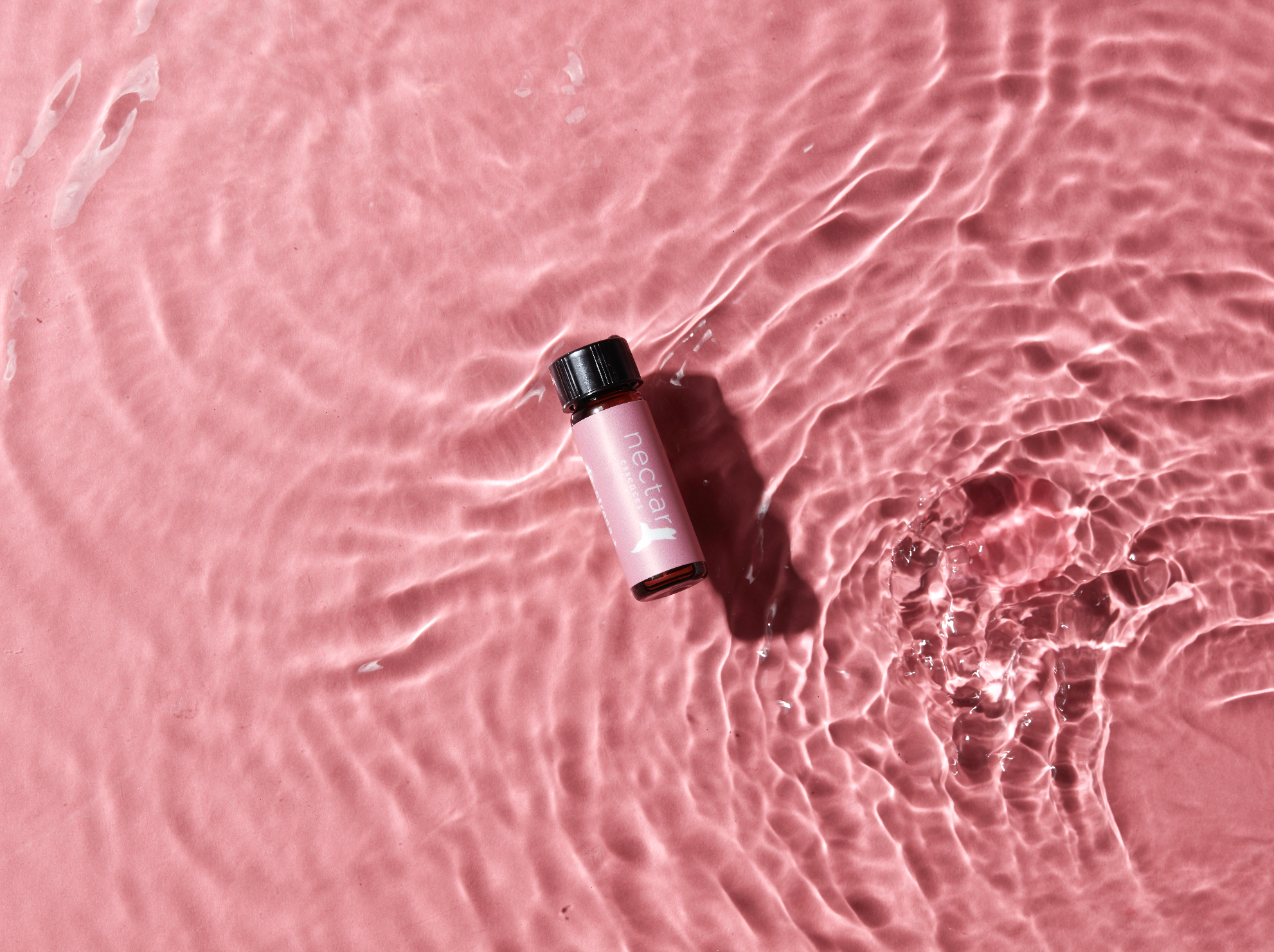 Screen Shot 2022-12-31 at 12.52.12 PM.png