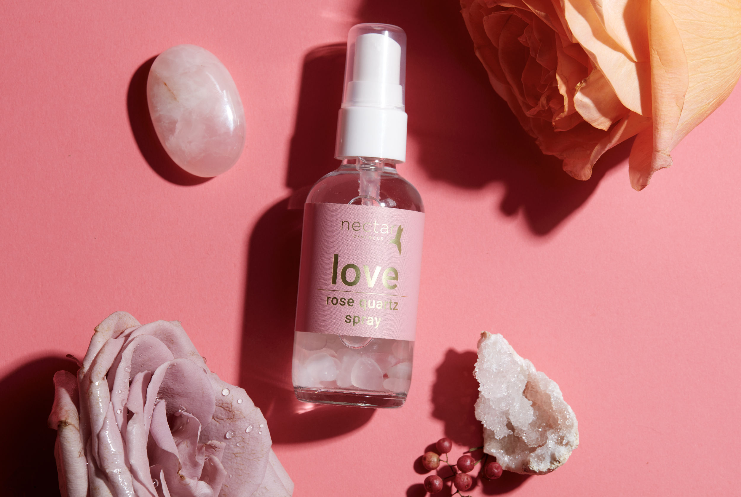 Screen Shot 2022-12-31 at 12.45.56 PM.png