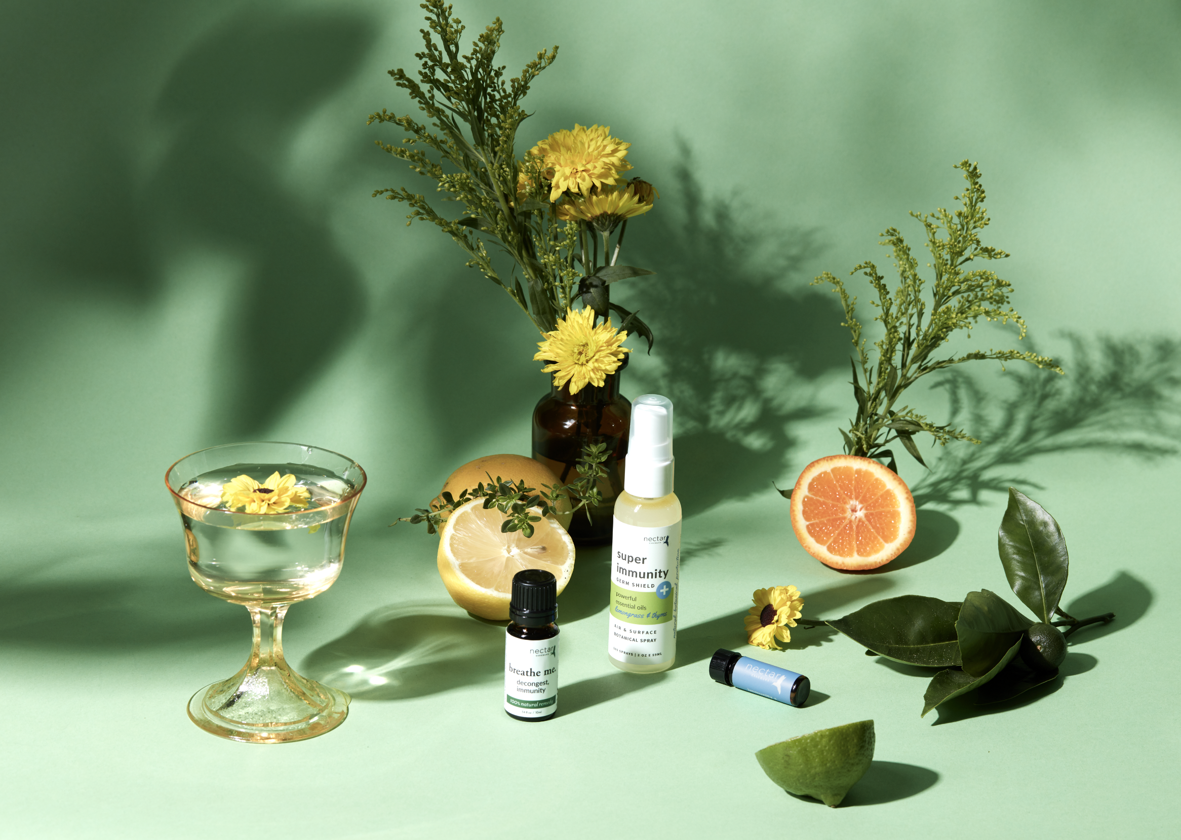 Screen Shot 2022-12-31 at 12.43.47 PM.png