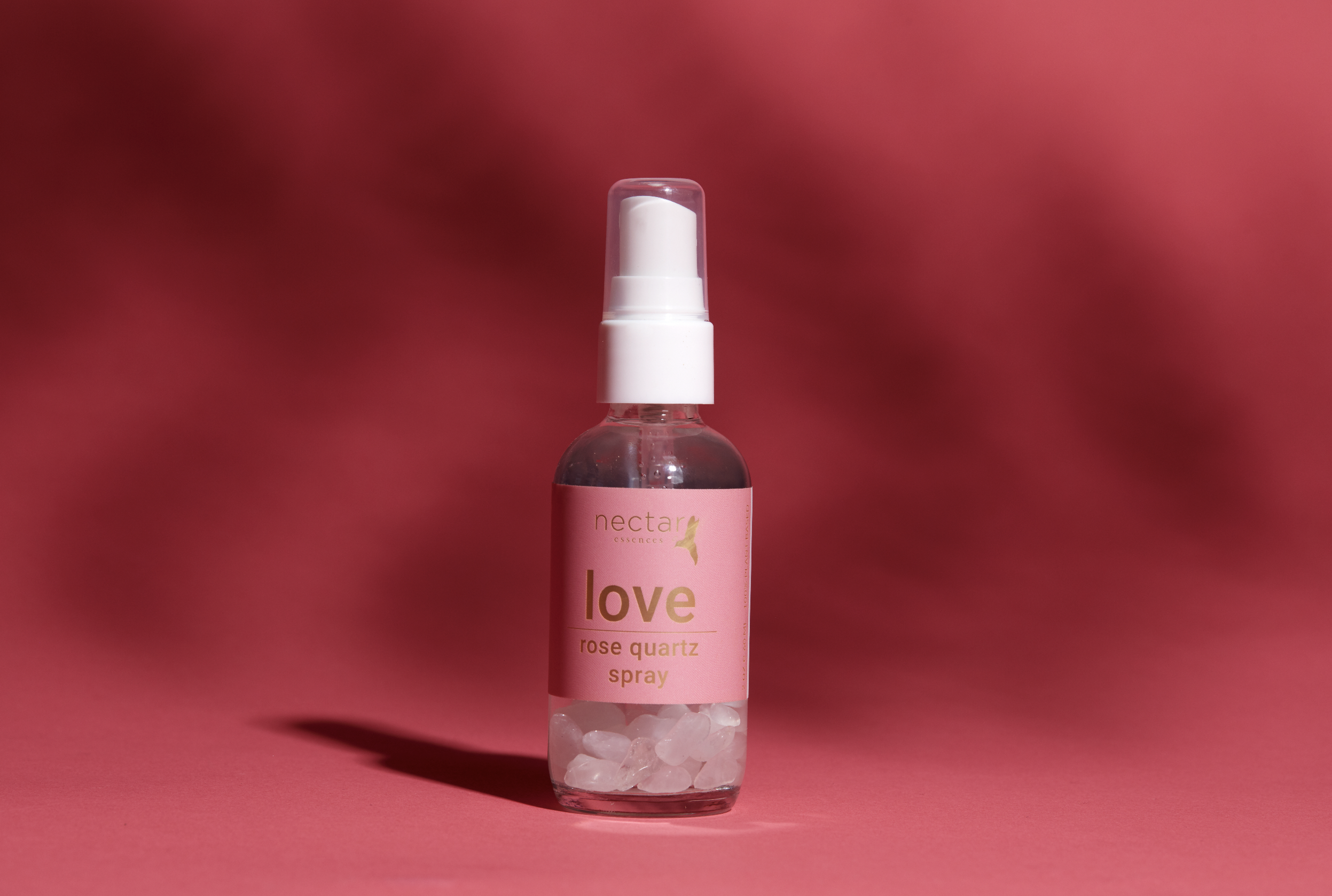 Screen Shot 2022-12-31 at 12.46.14 PM.png