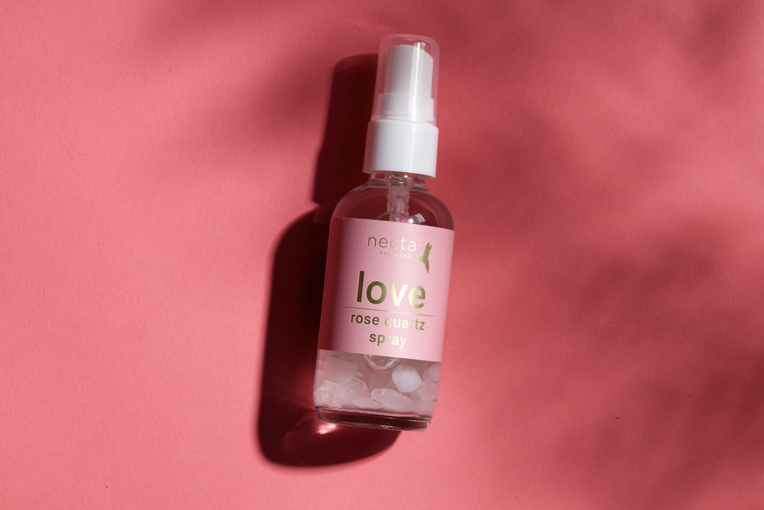 Screen Shot 2022-12-31 at 12.45.48 PM.png