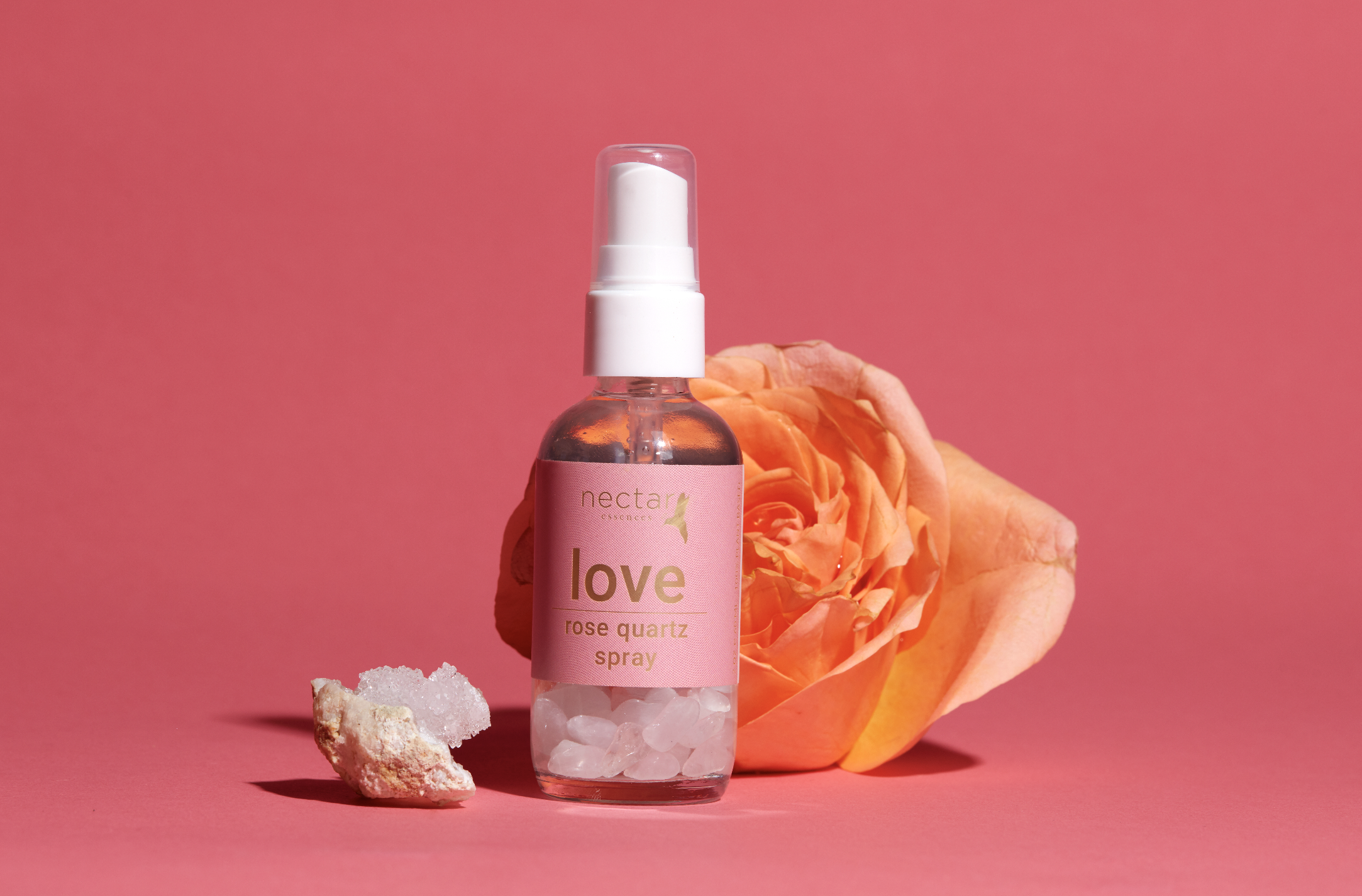 Screen Shot 2022-12-31 at 12.46.31 PM.png