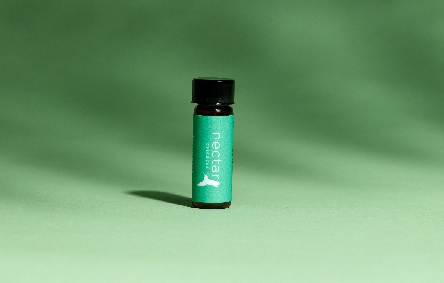 Screen Shot 2022-12-31 at 12.40.03 PM.png