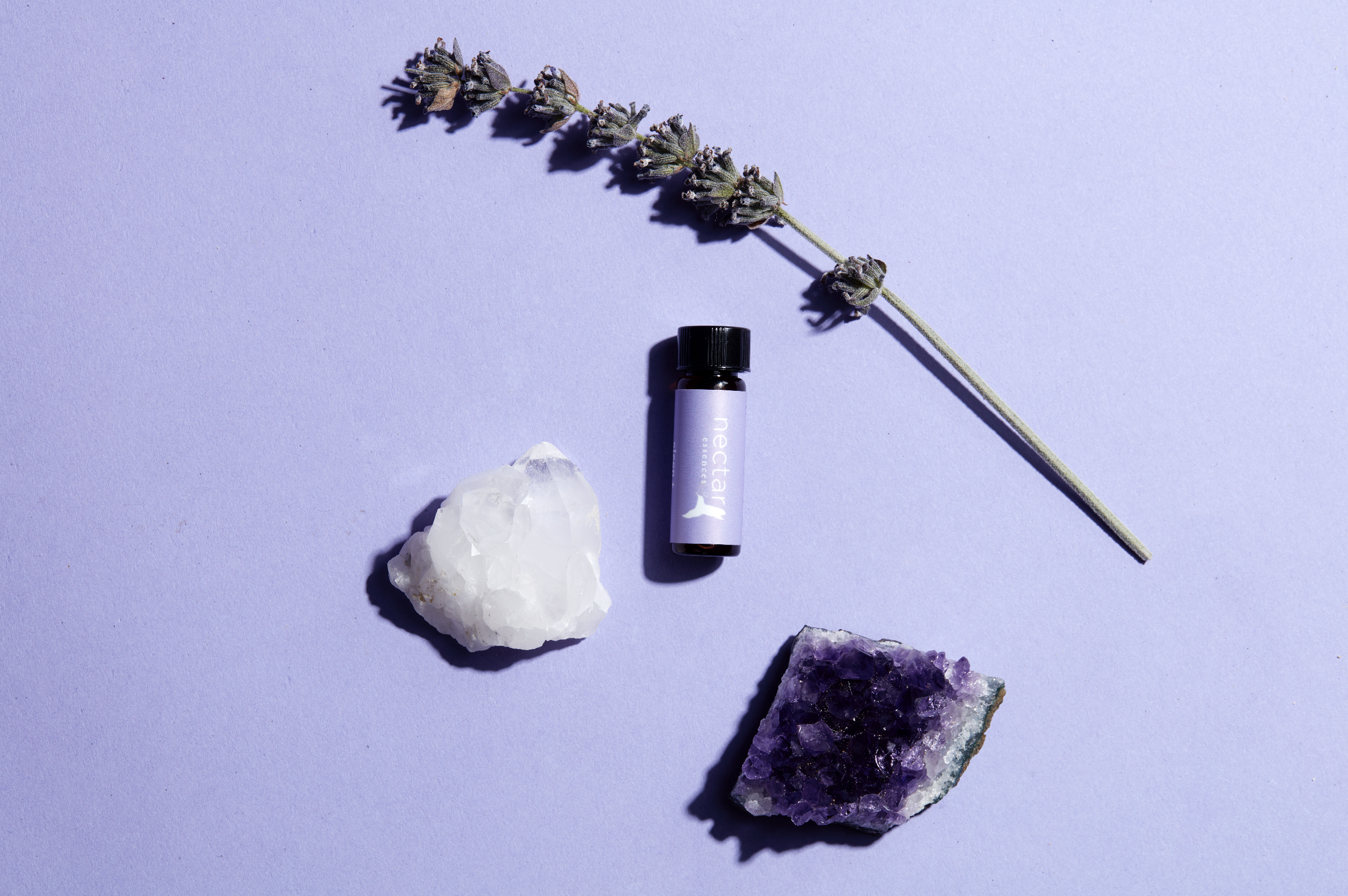 Screen Shot 2022-12-31 at 12.48.29 PM.png