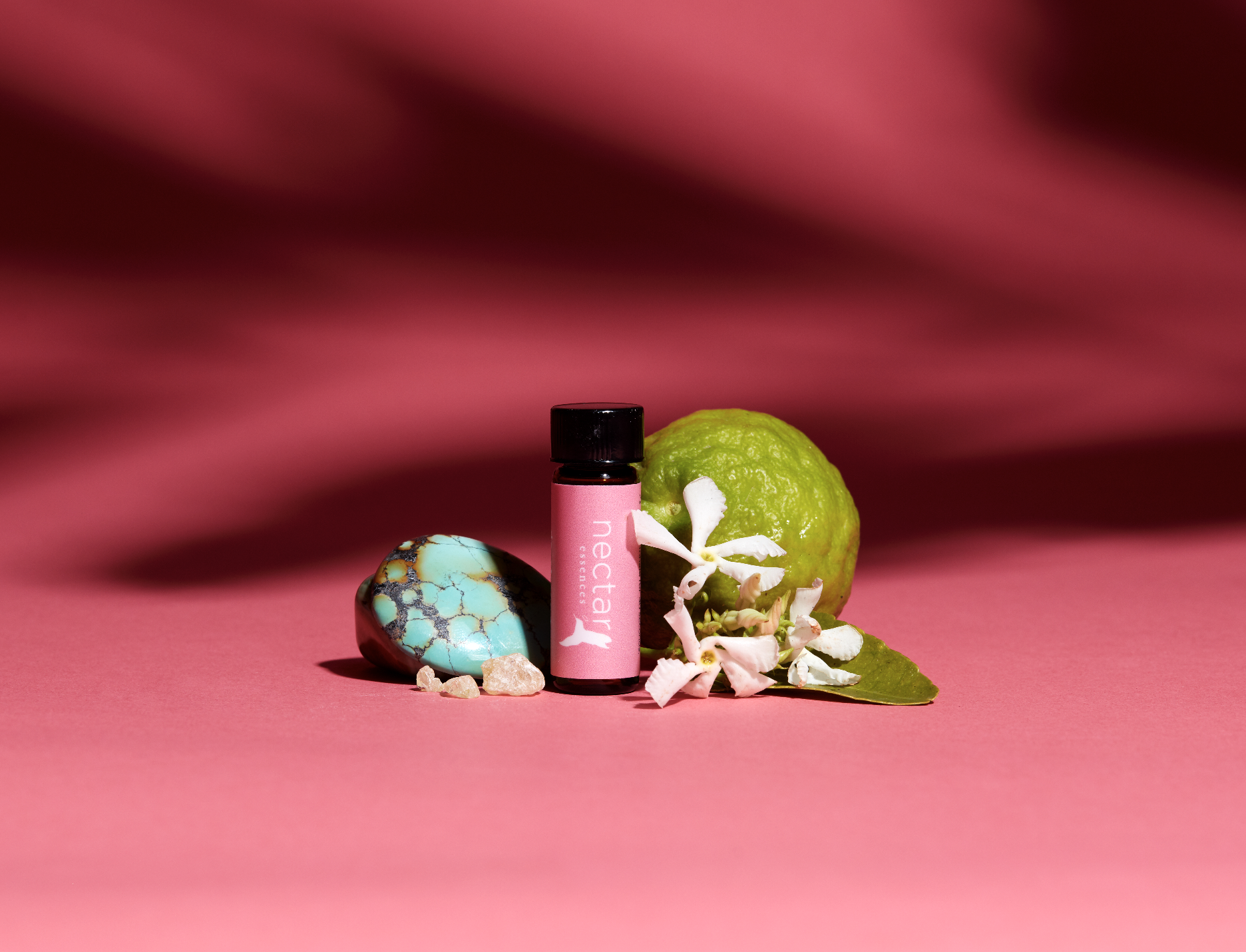 Screen Shot 2022-12-31 at 12.42.13 PM.png