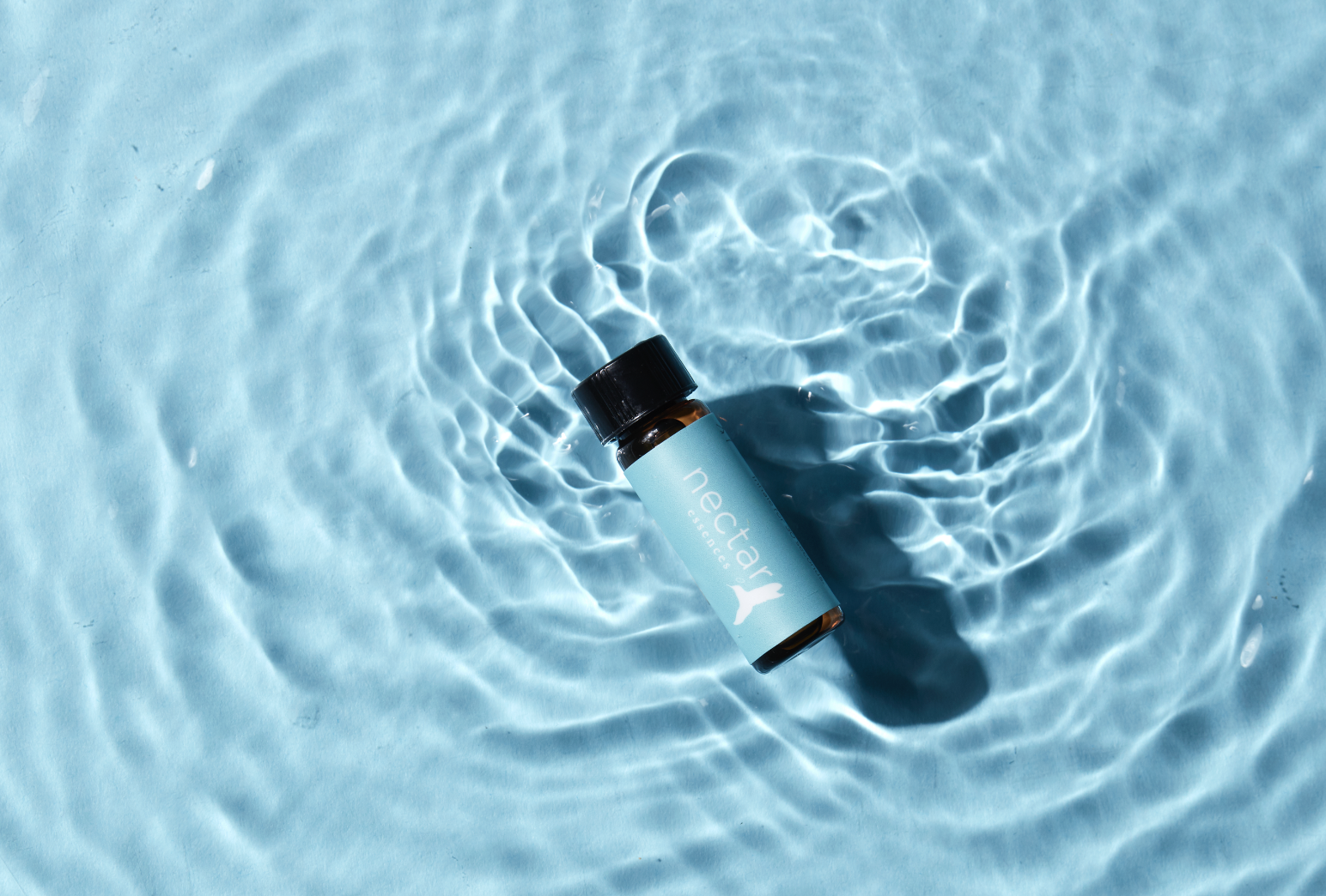 Screen Shot 2022-12-31 at 12.51.23 PM.png