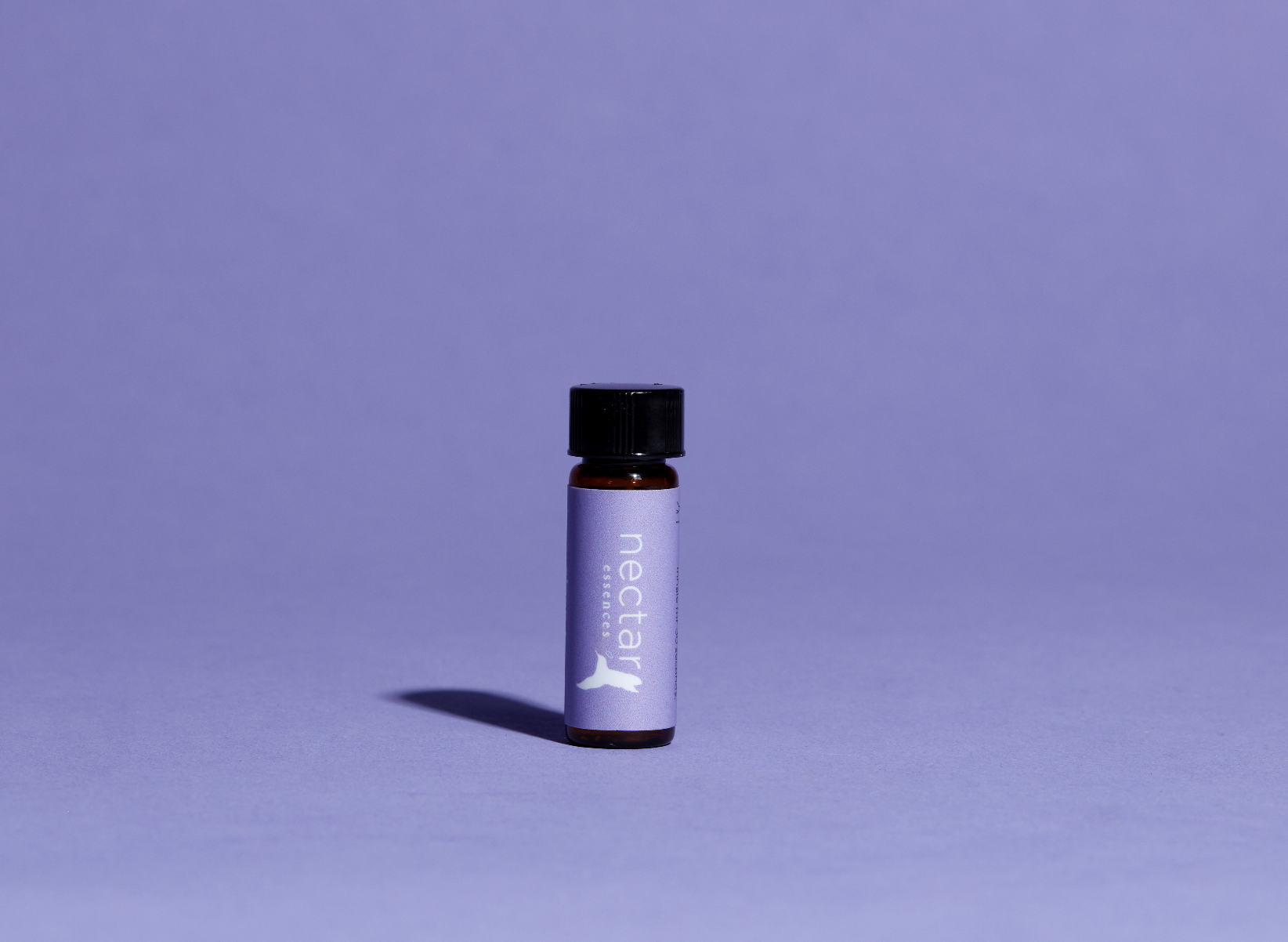 Screen Shot 2022-12-31 at 12.47.52 PM.png