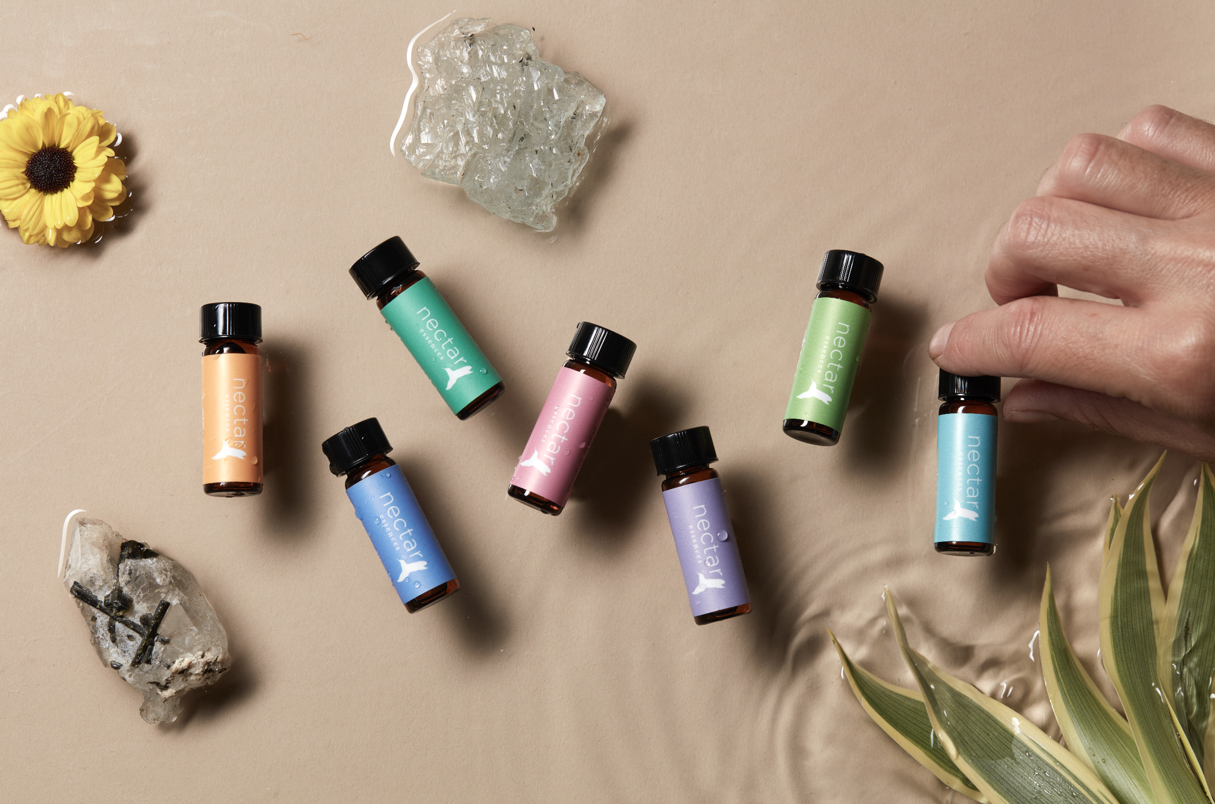 Screen Shot 2022-12-31 at 12.49.52 PM.png